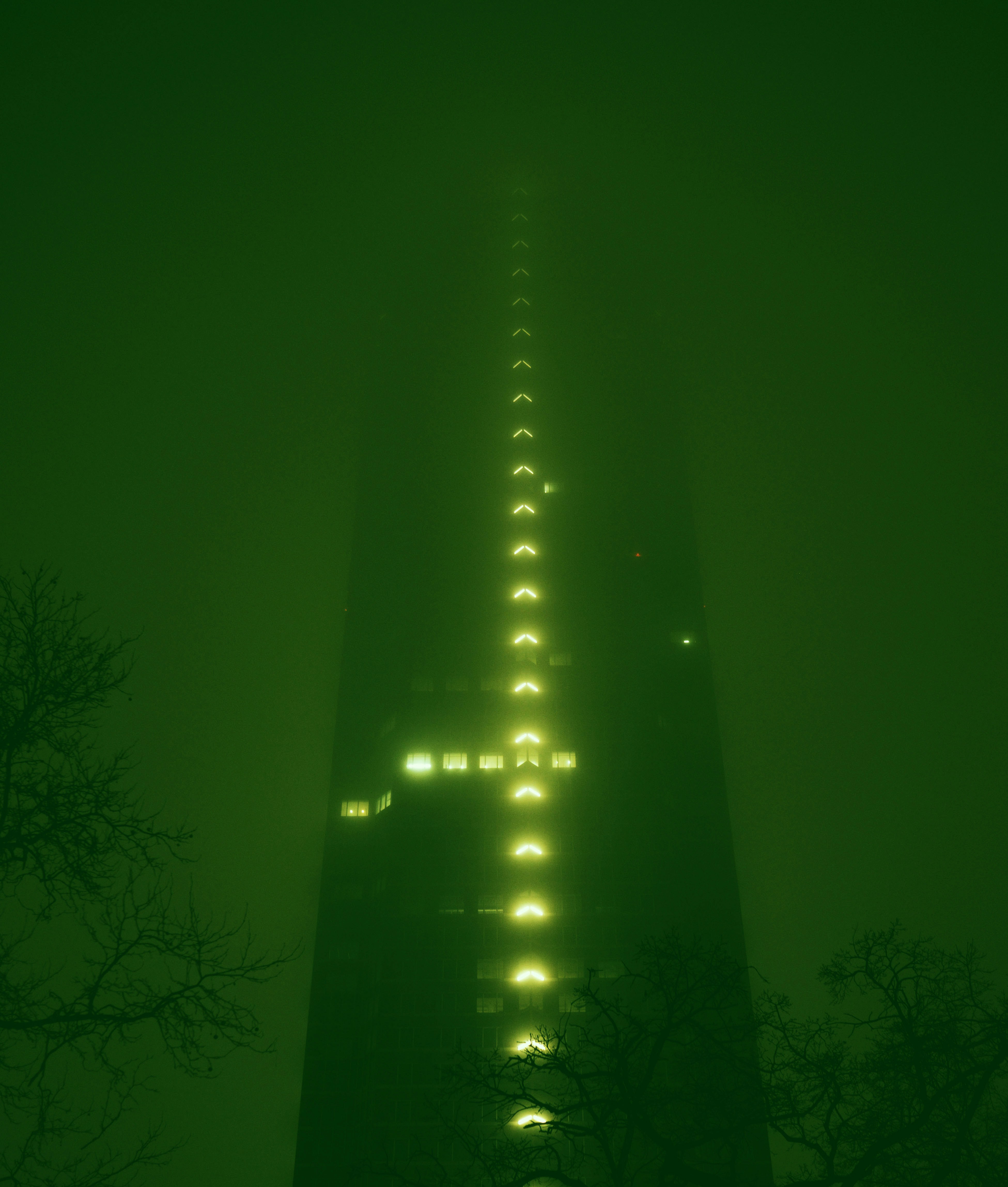 Tall building illuminated at night in fog