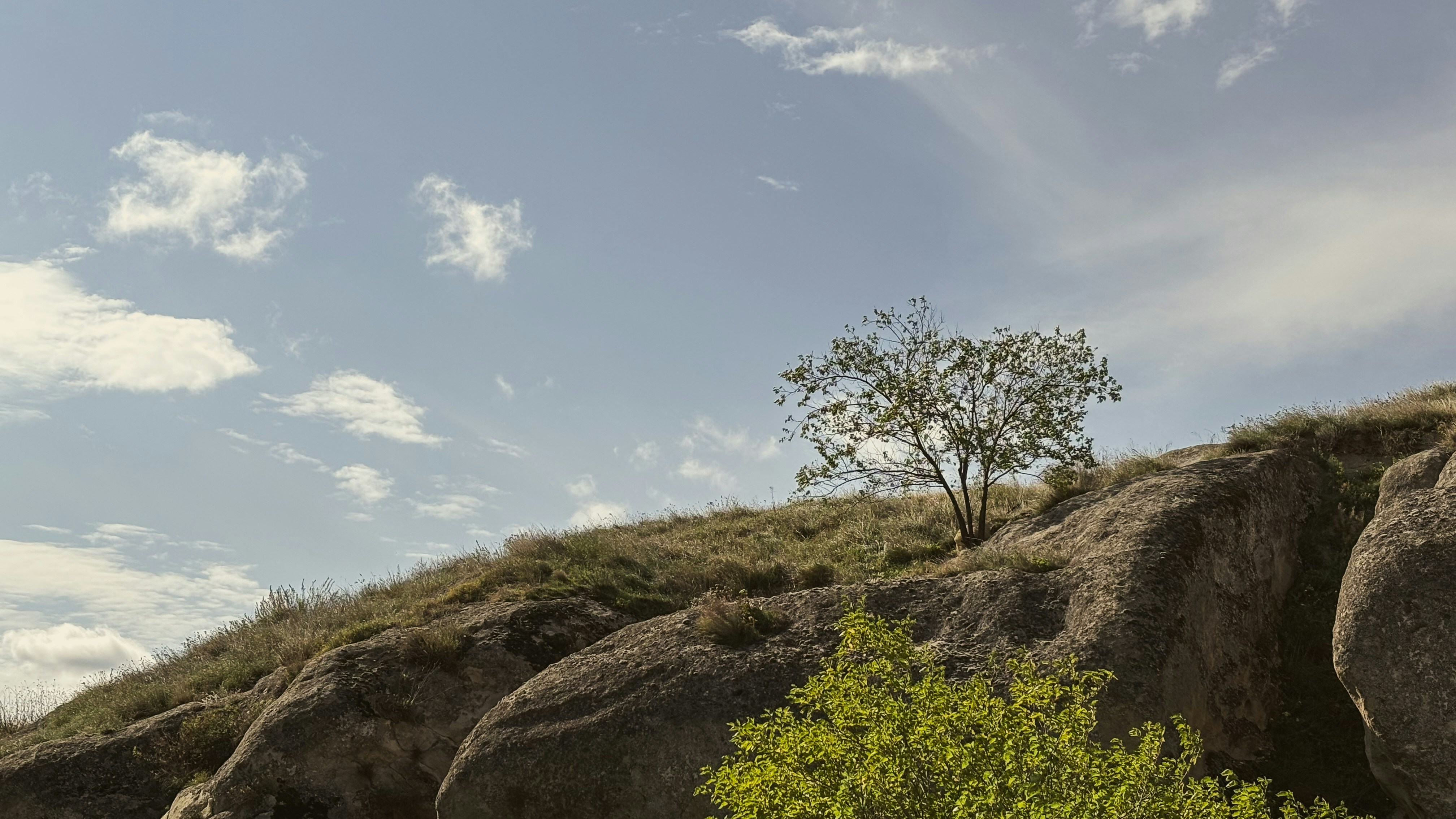 Photo by rkdotdesign