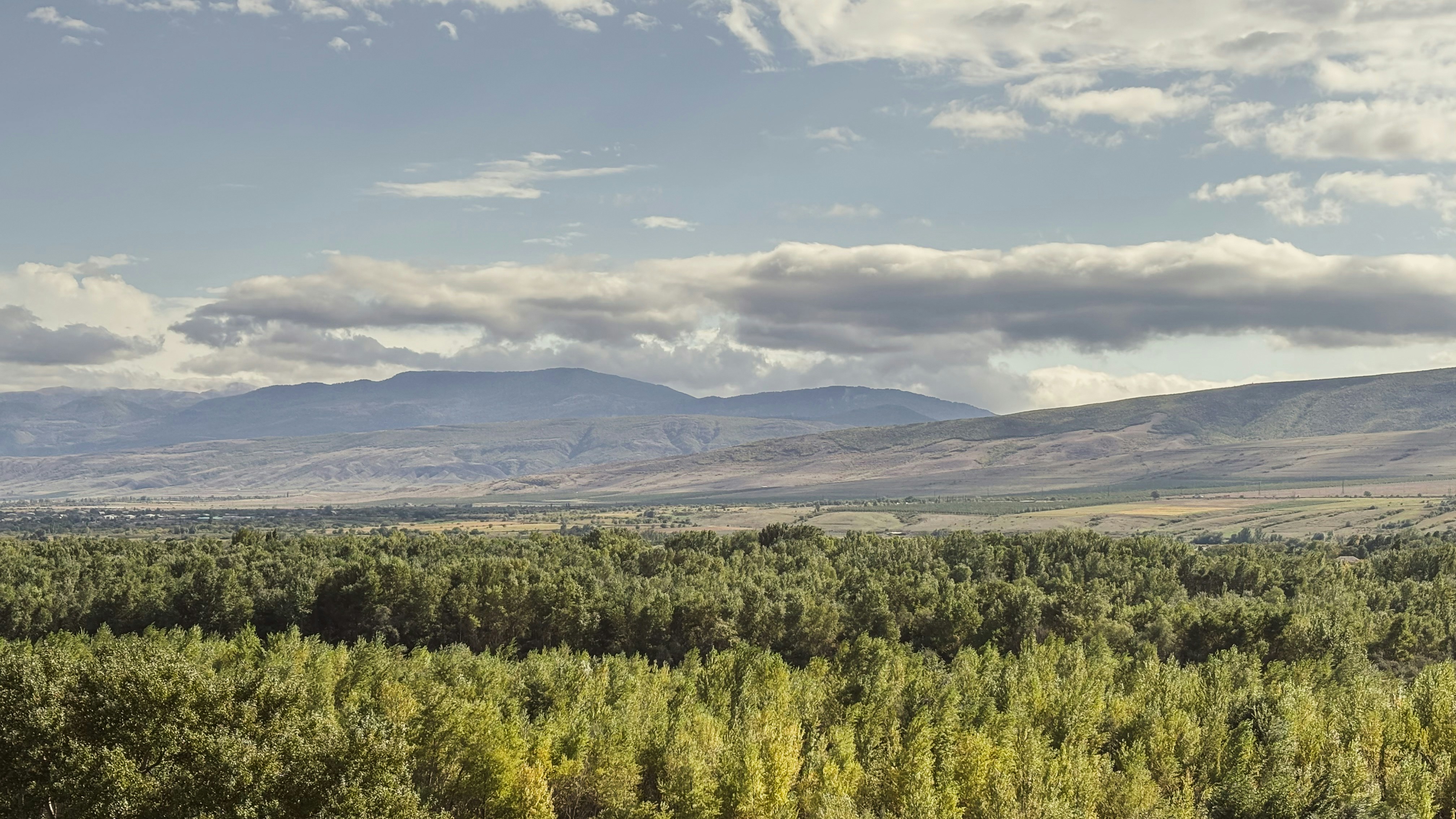 Photo by rkdotdesign