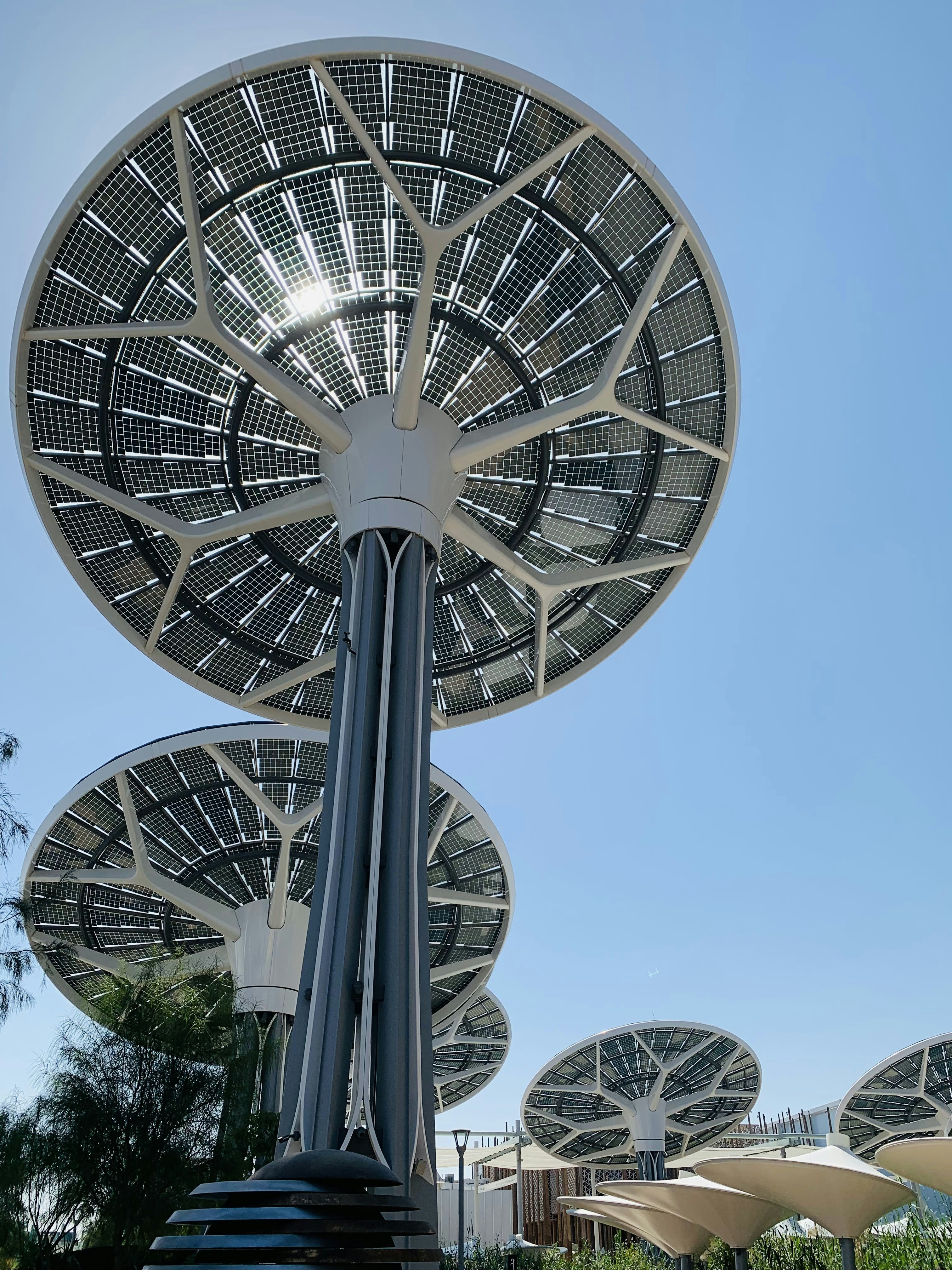 Solar panel trees against a clear blue sky.
