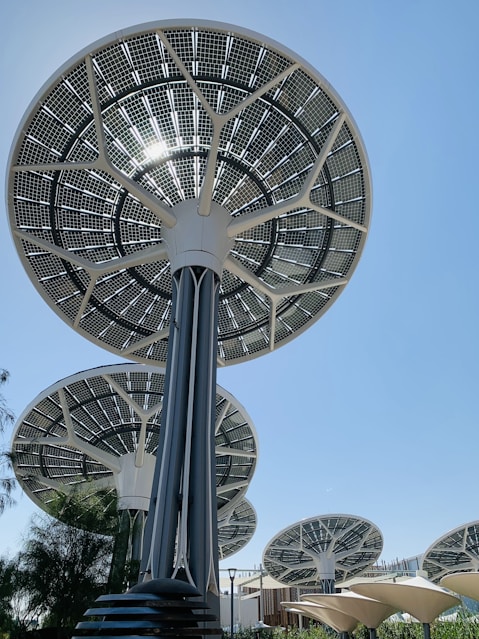 Solar panel trees against a clear blue sky.