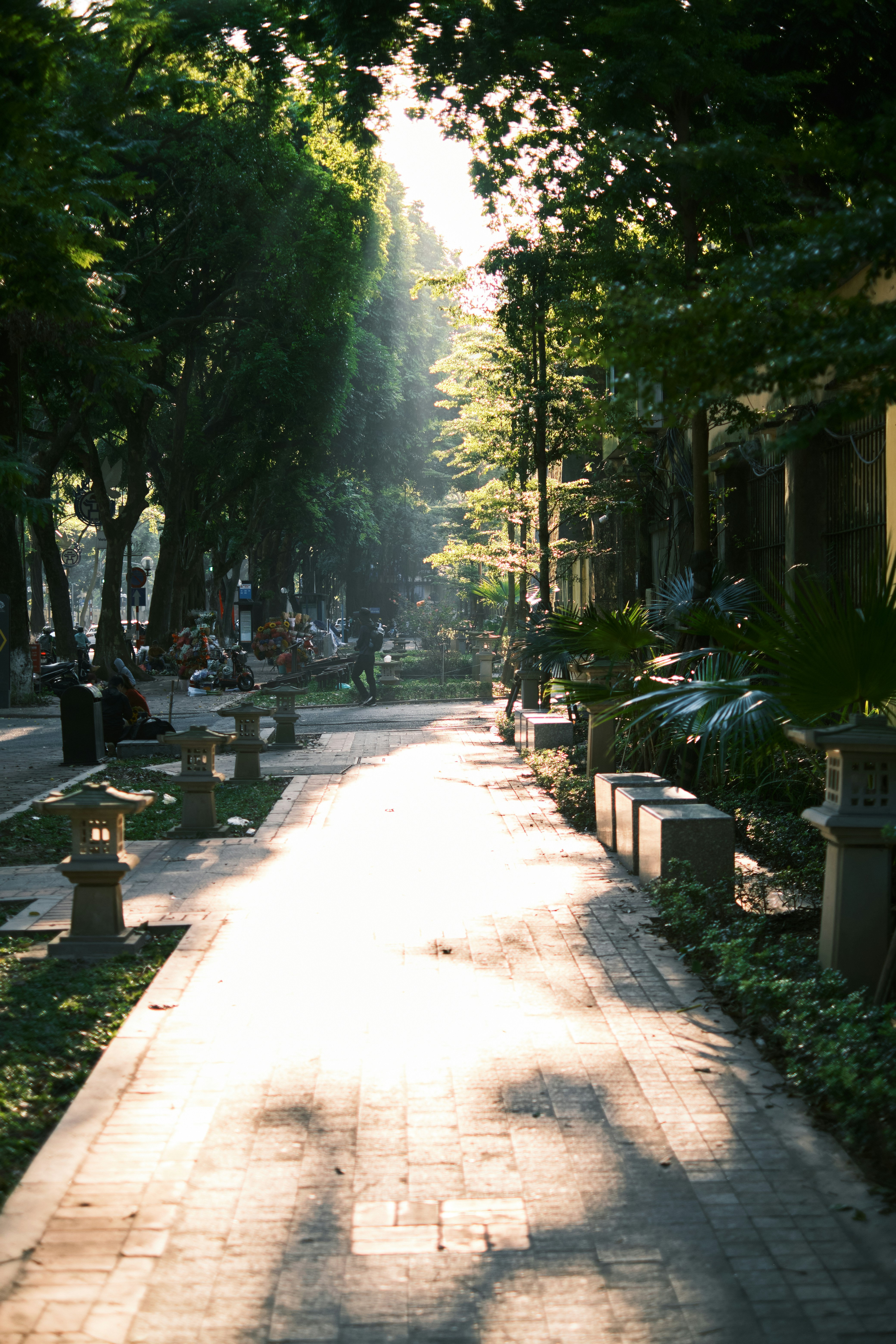 Sonnenlicht strömt über einen gemauerten Weg in einem Park.