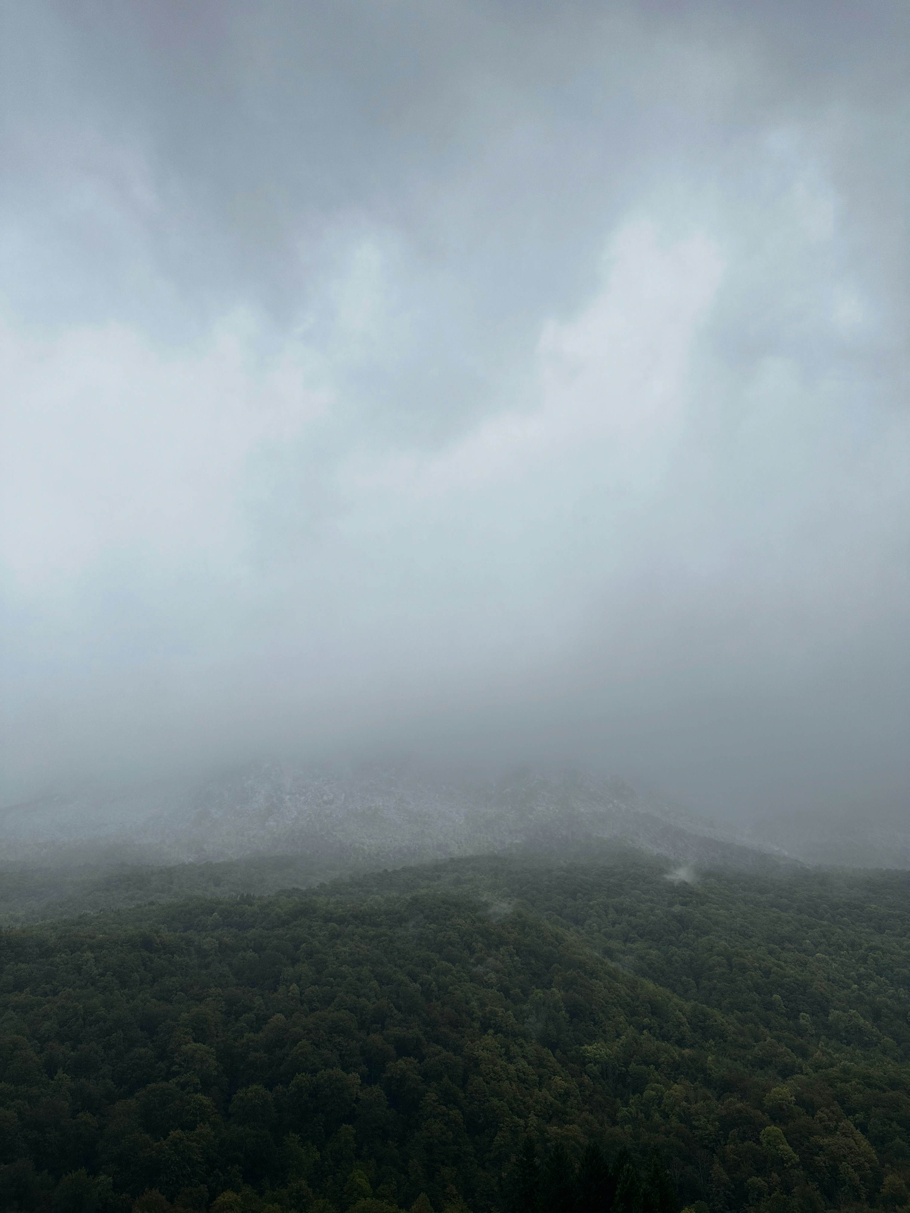 Photo by nikolalukovic