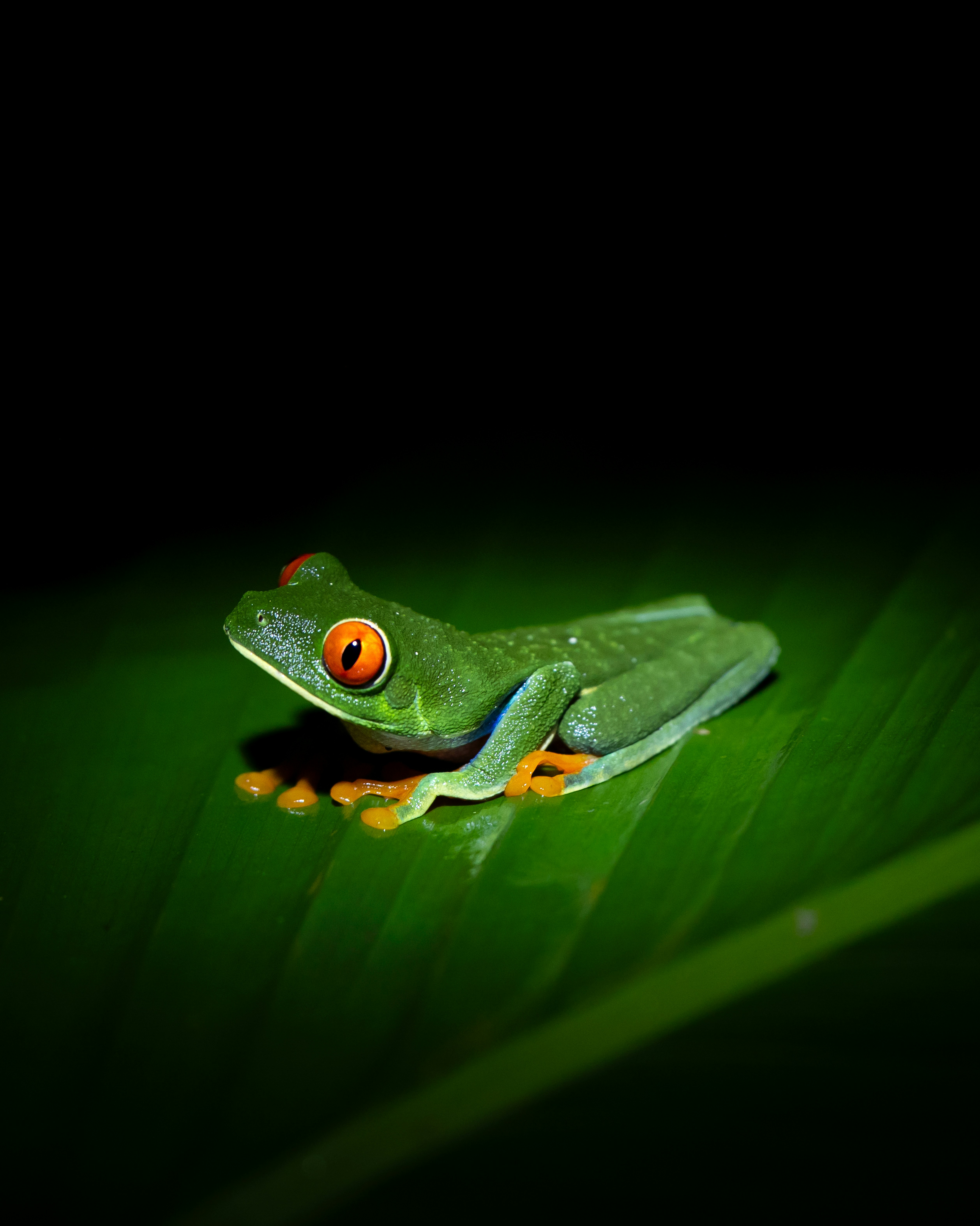 Photo by andrewlaulman