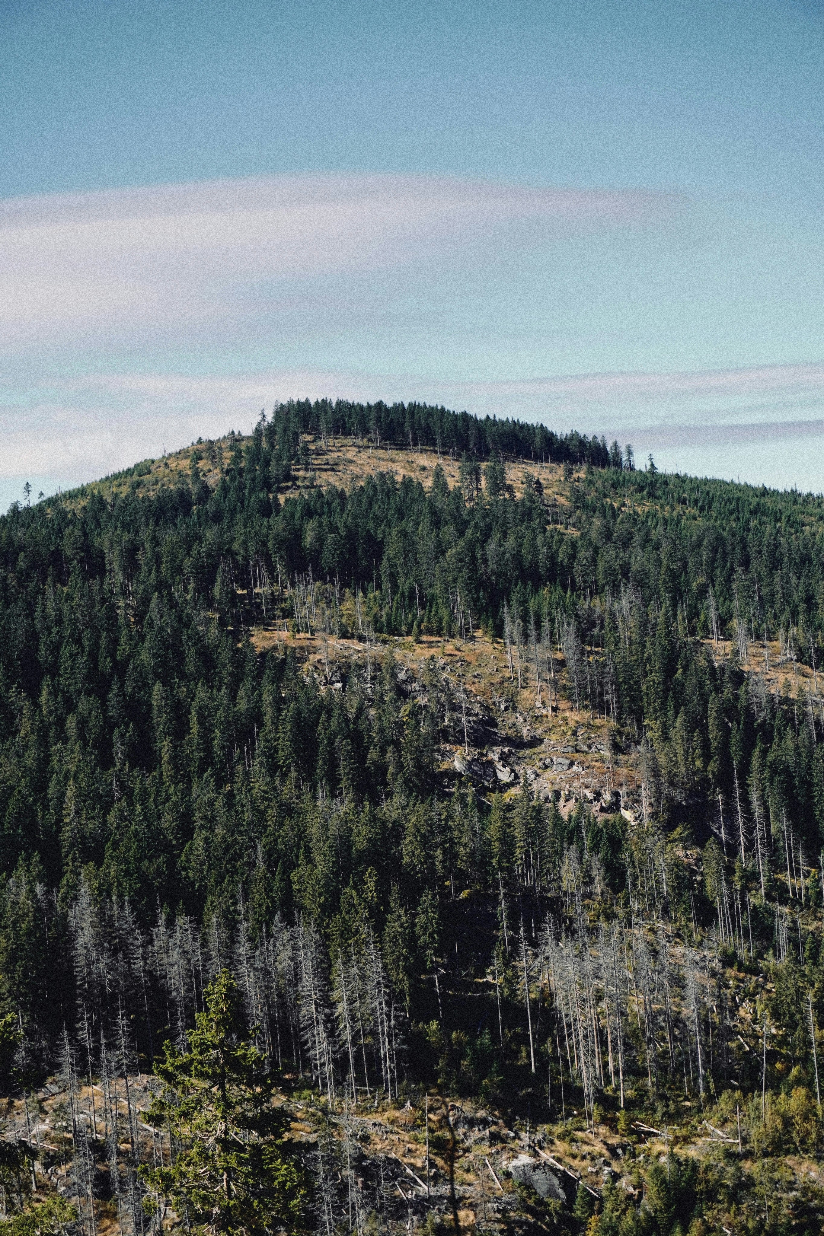 Photo by franziskawe01