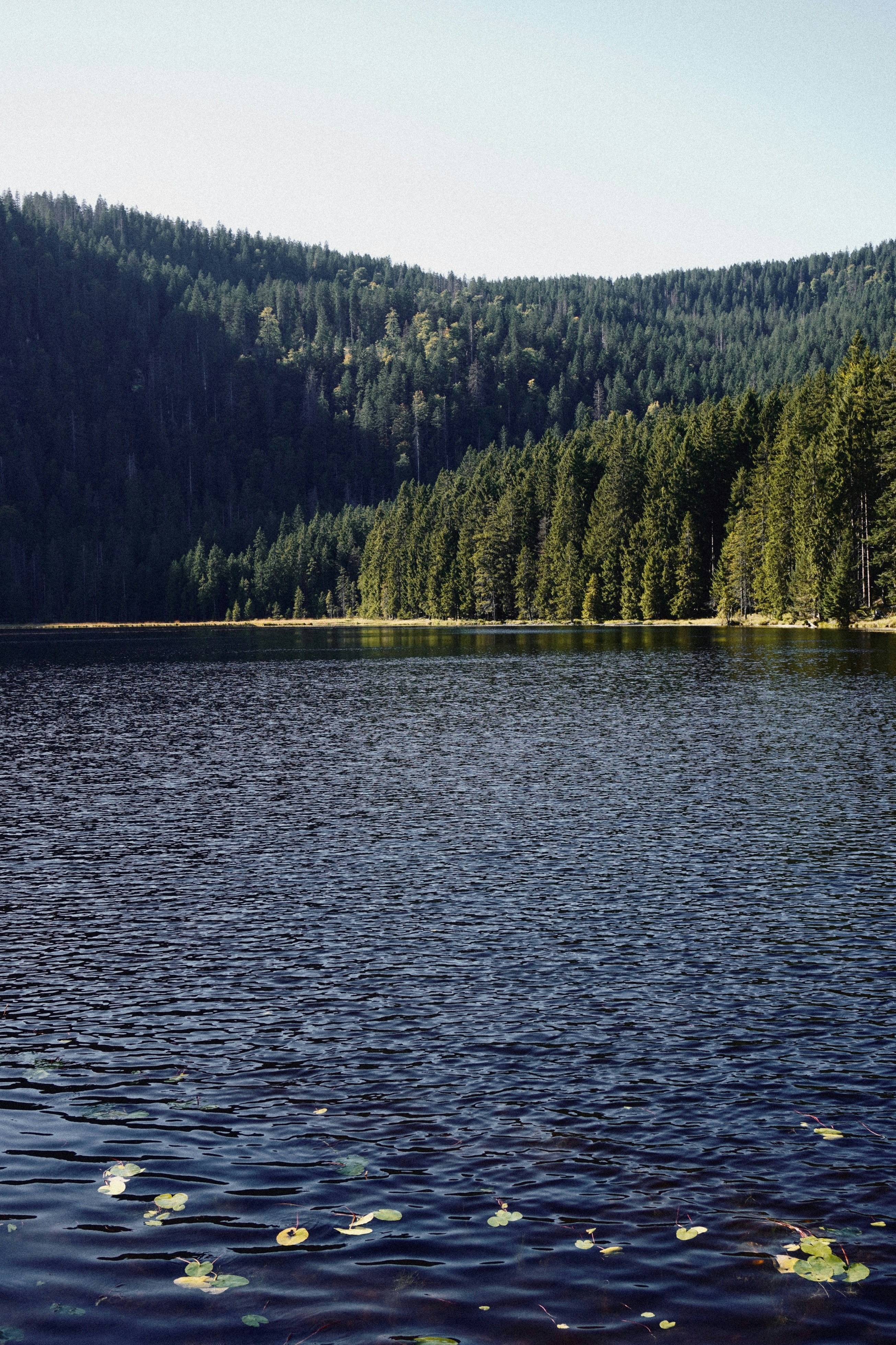 Photo by franziskawe01