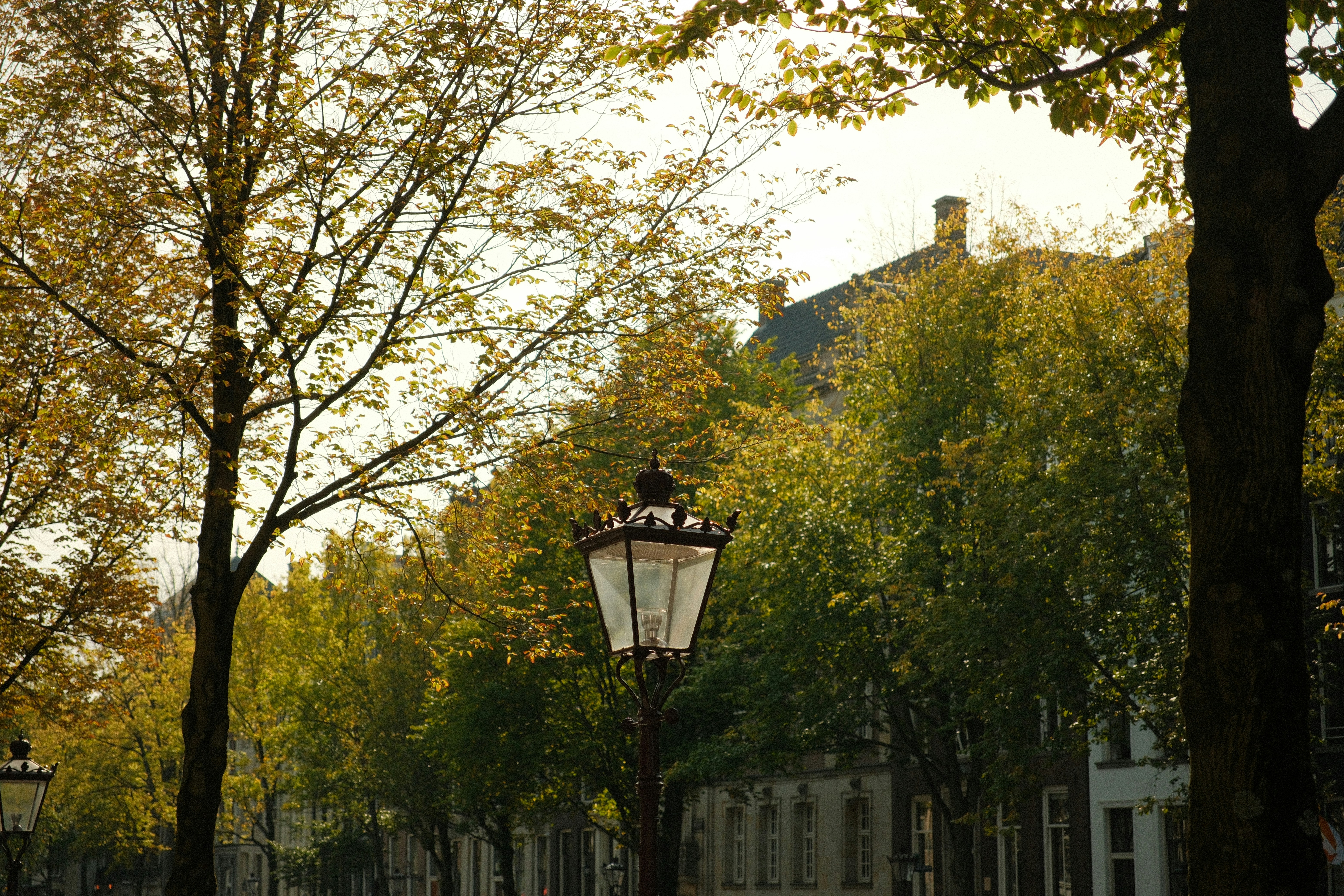 Photo by danieljschwarz