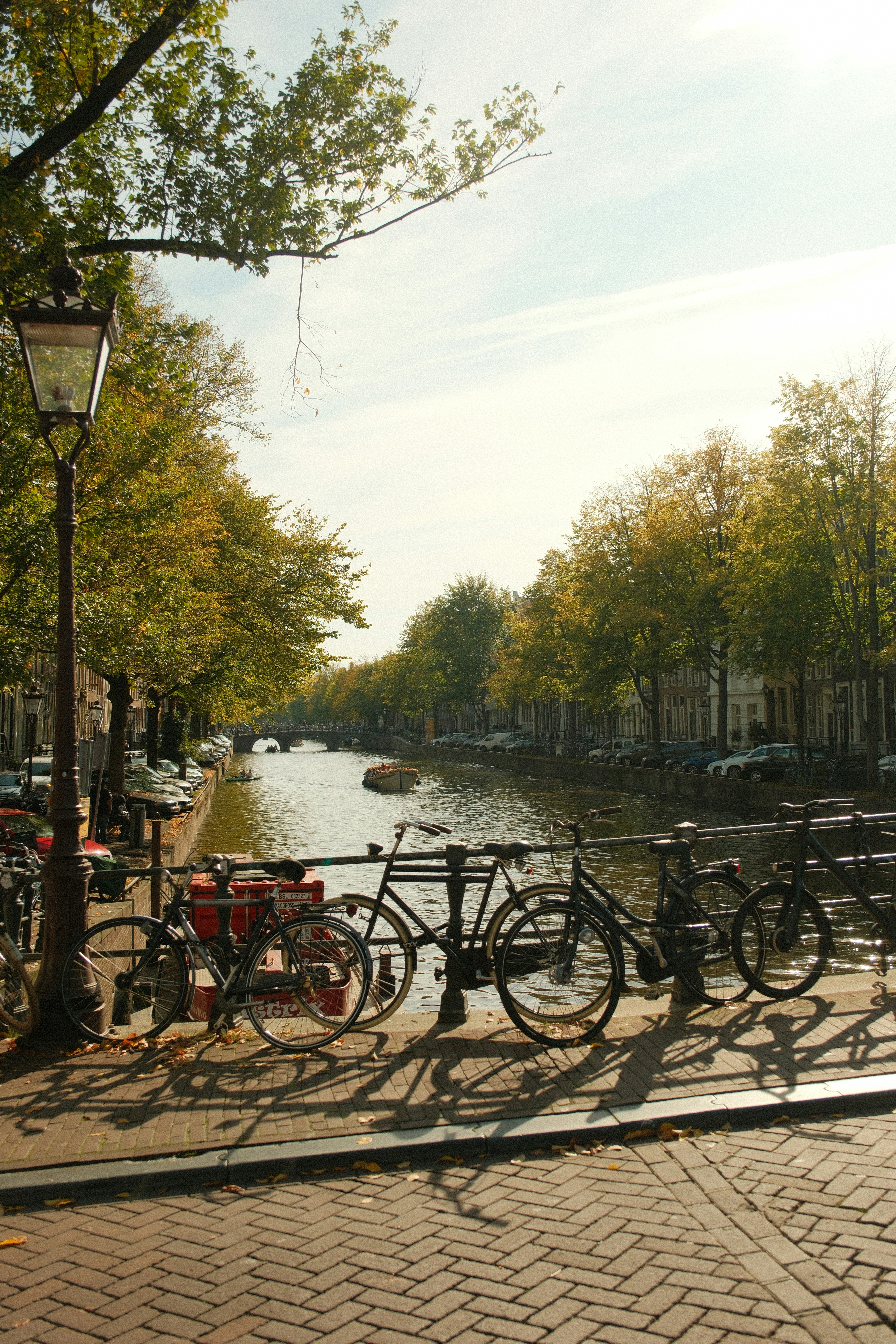 Photo by danieljschwarz