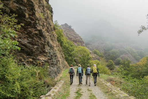 Four hikers walk on a dirt path through mountains.