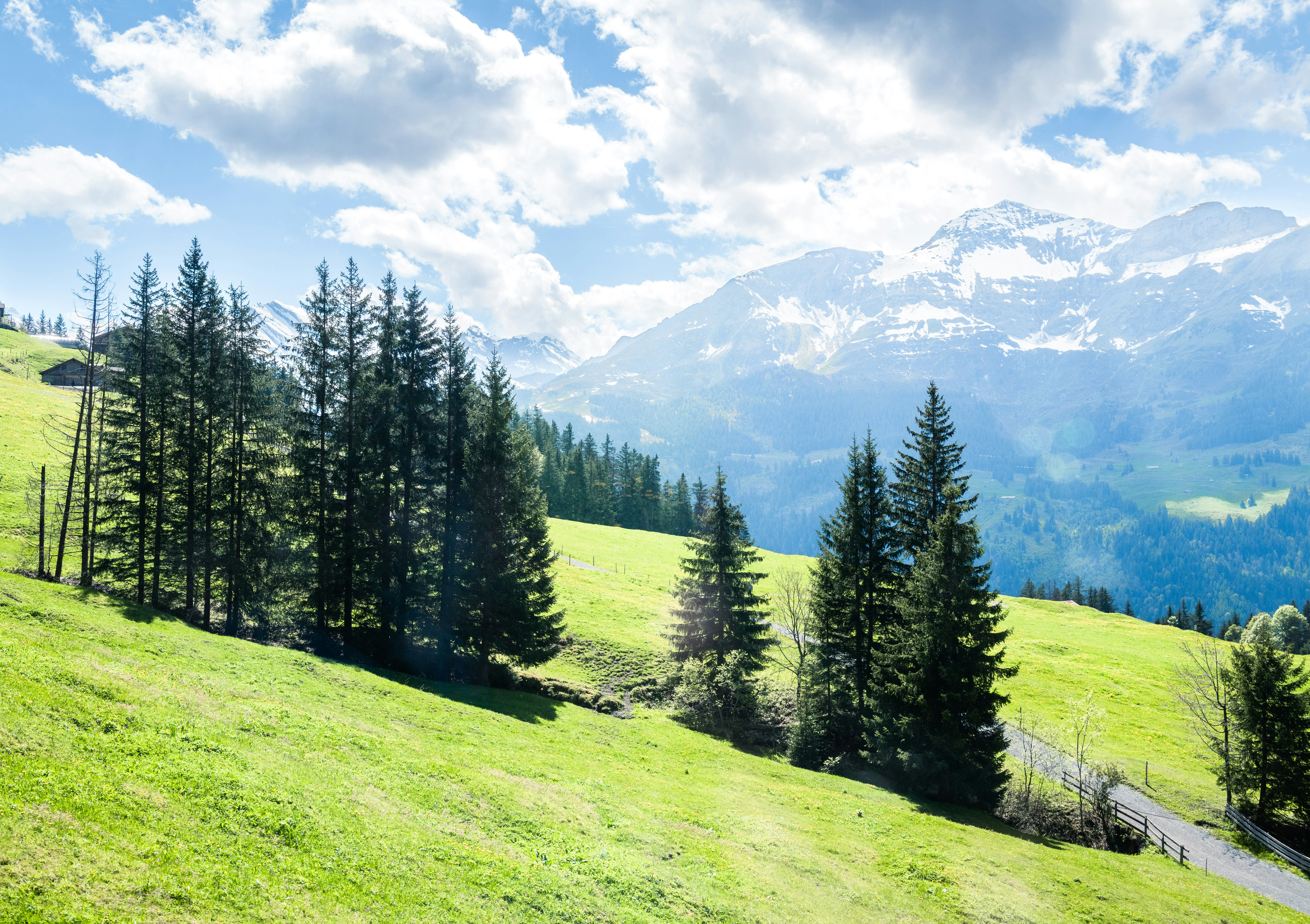 Photo by sriniunsplash