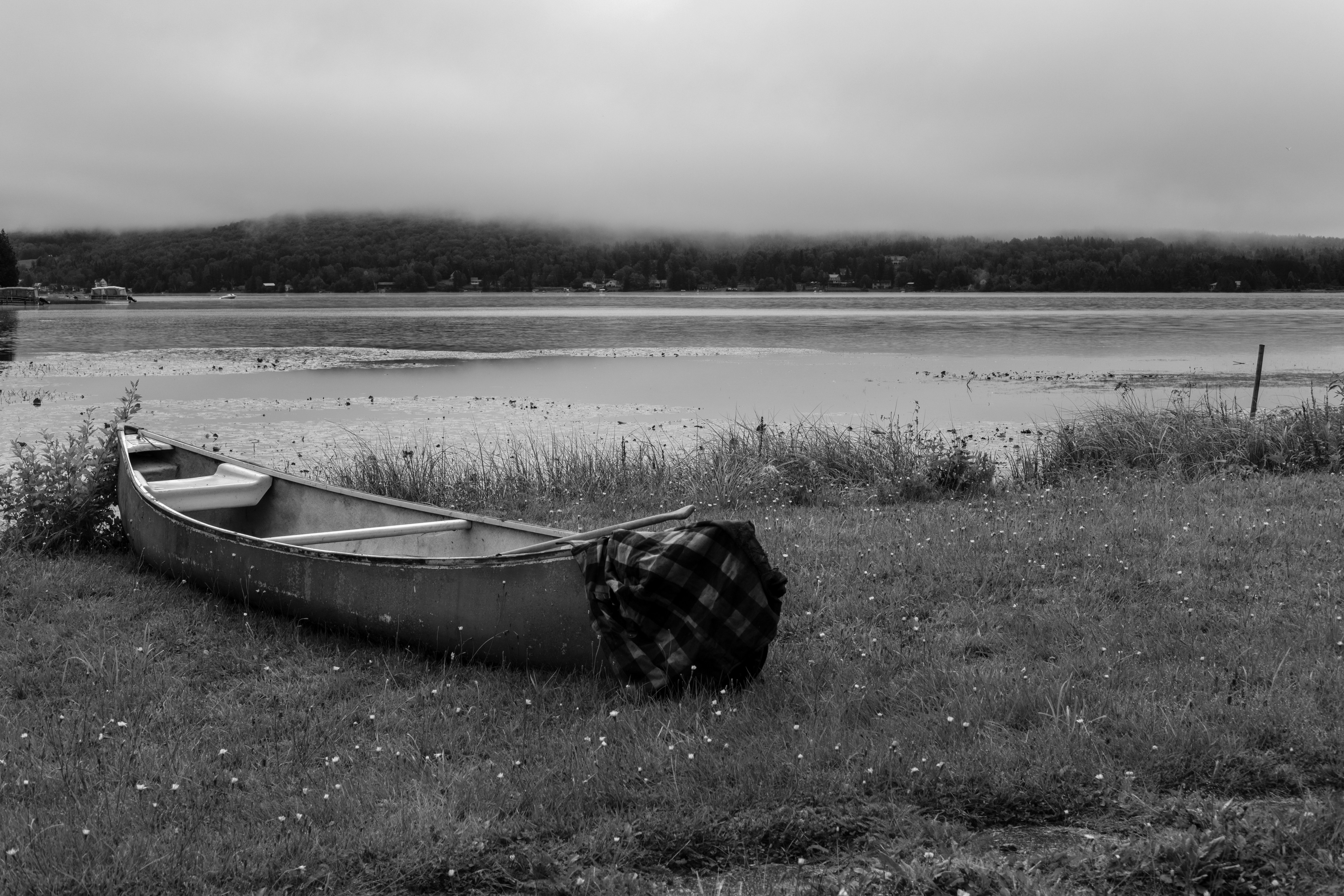 Canoe resting on grassy shore beside a calm lake.