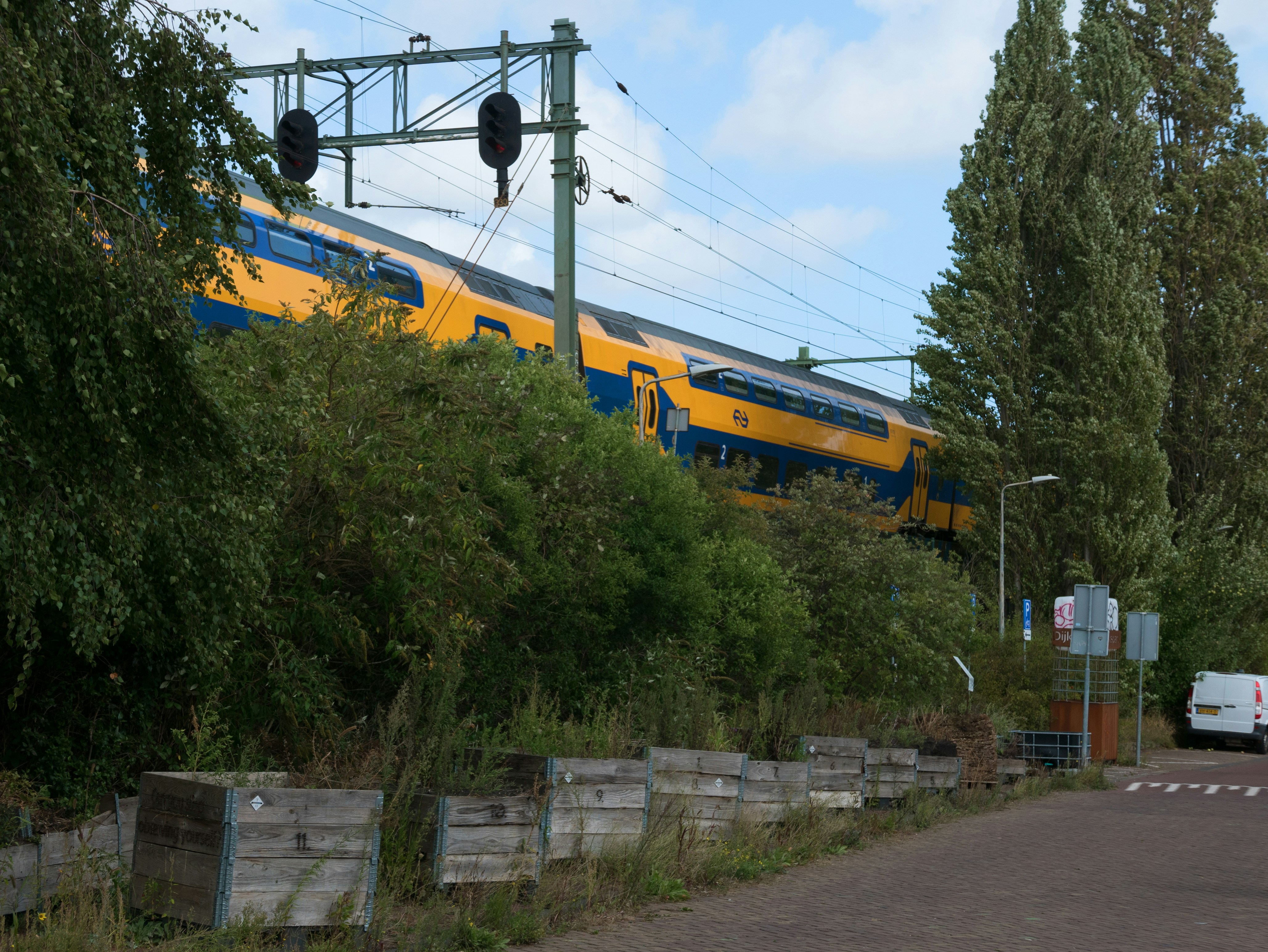 A yellow and blue train travels through lush green foliage.
