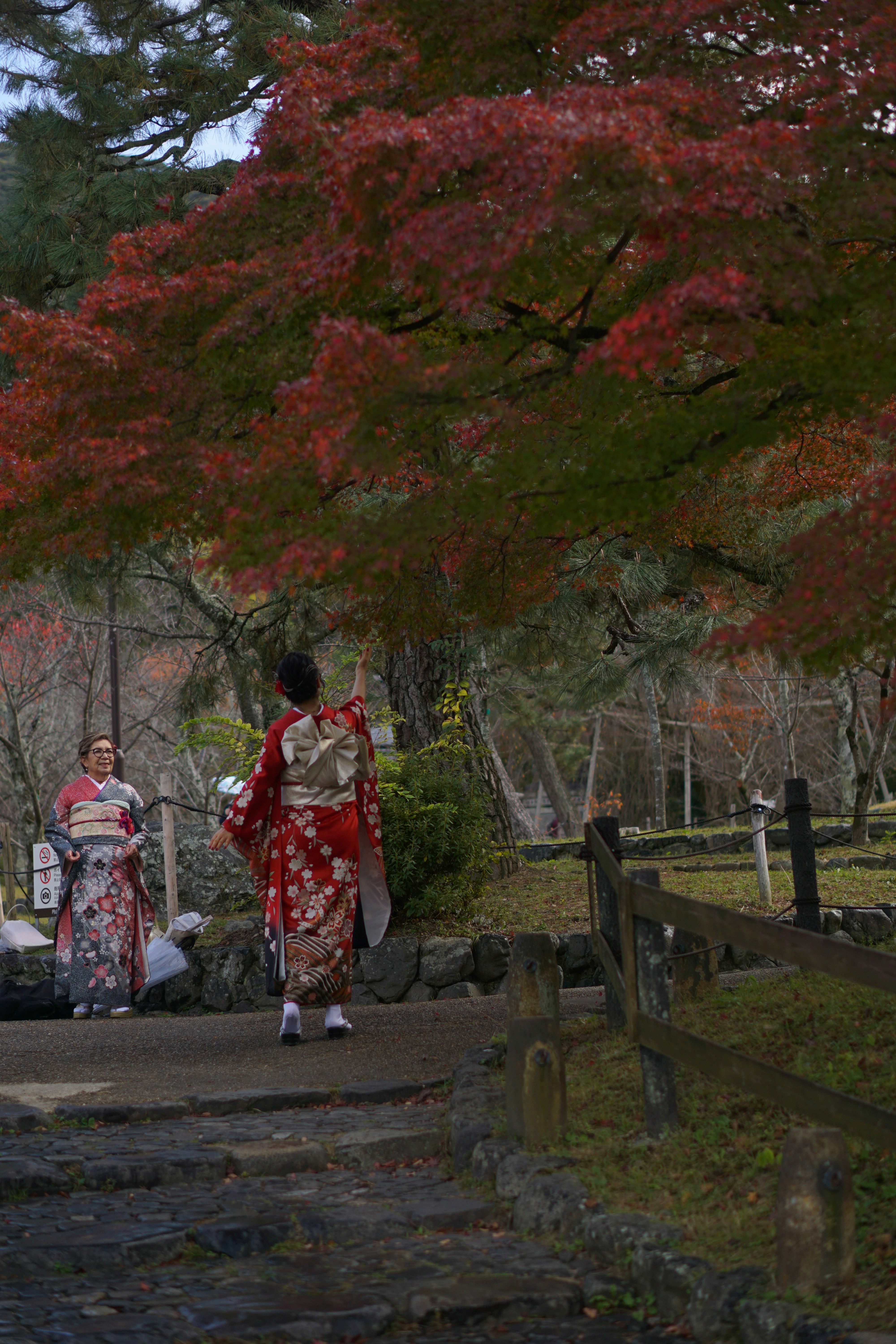 Photo by alena_frans