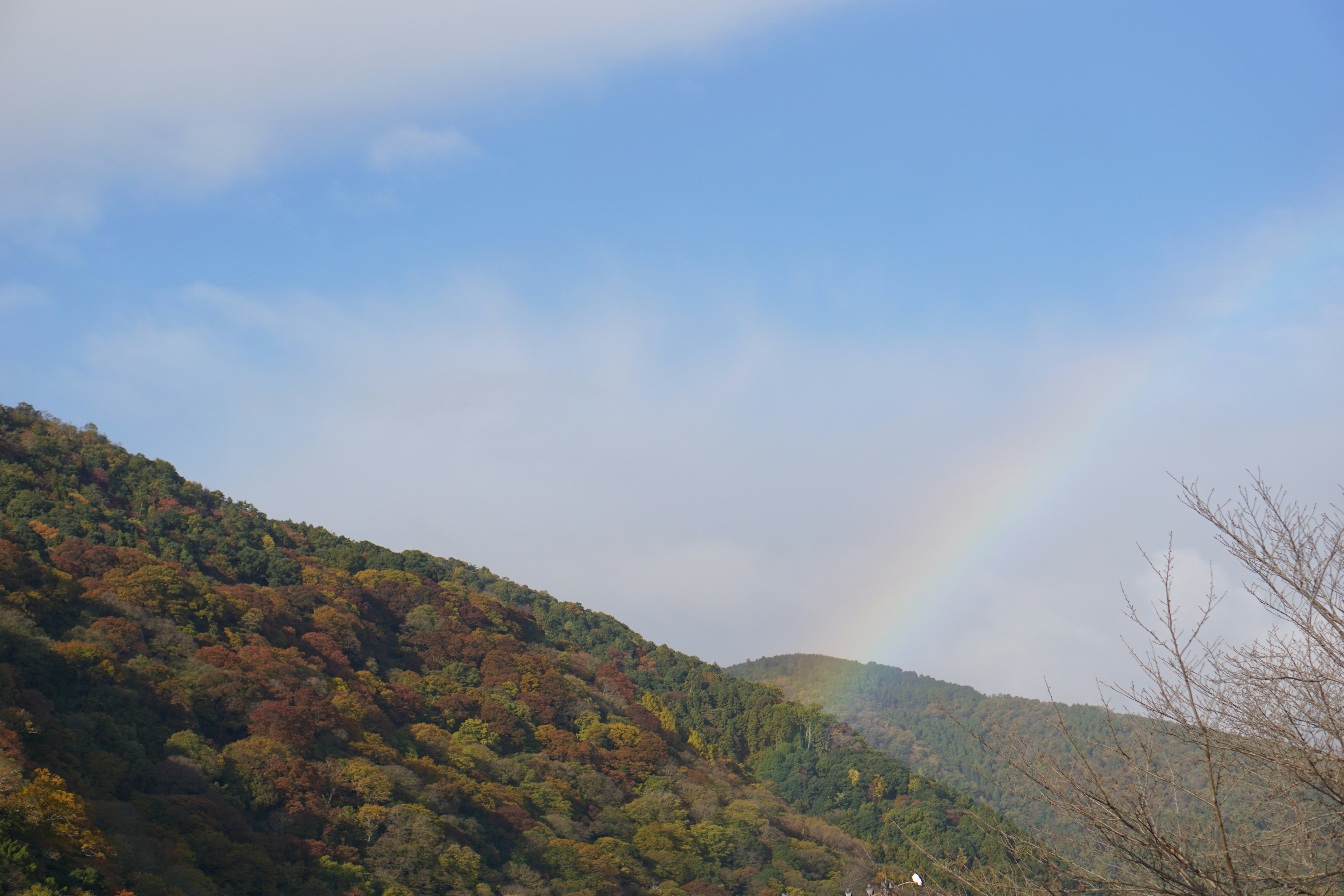 Photo by alena_frans