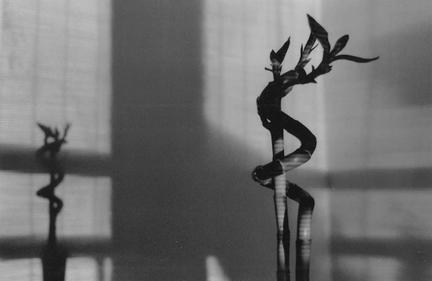 Two abstract sculptures with shadows on a wall.