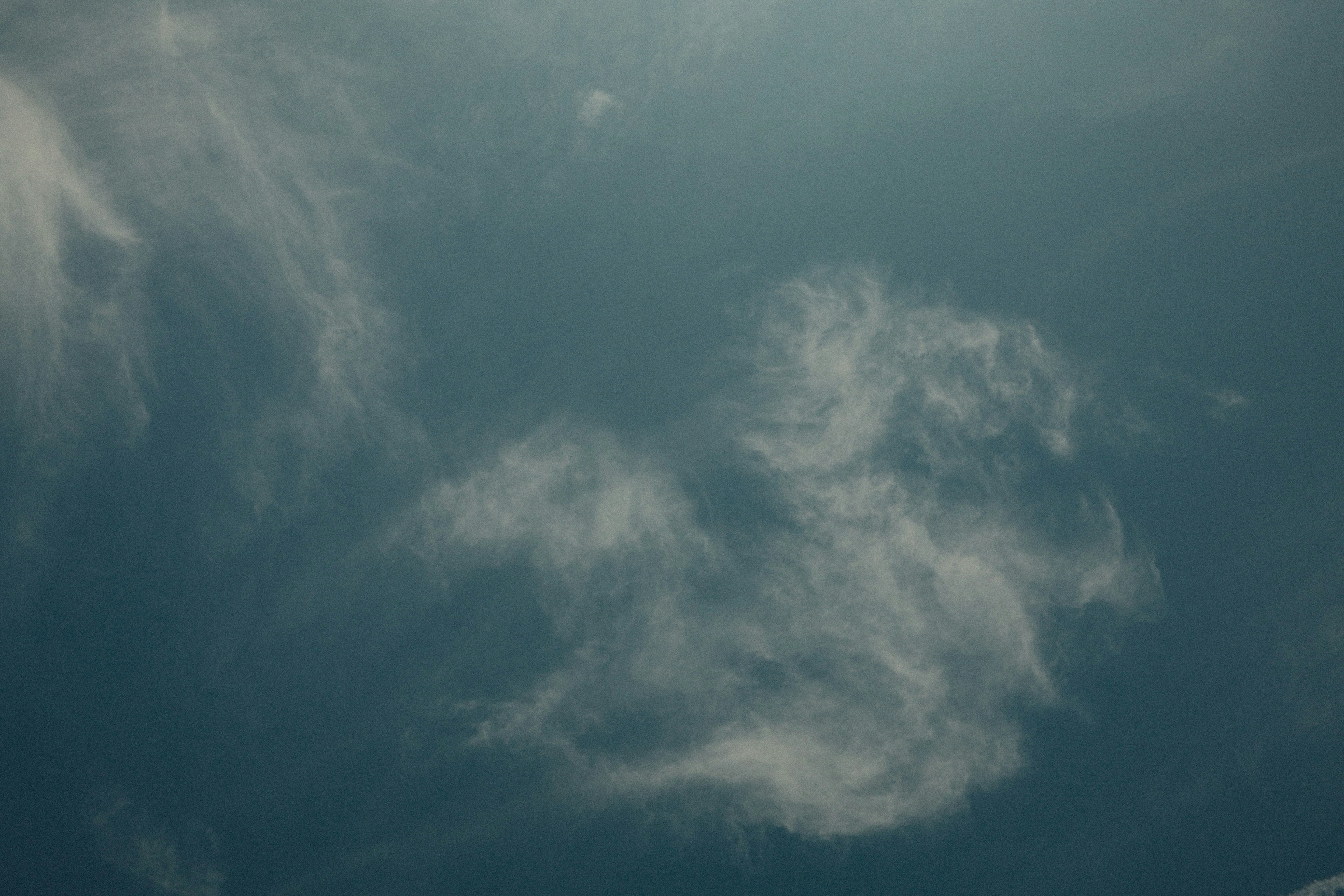 Photo by travisfishl