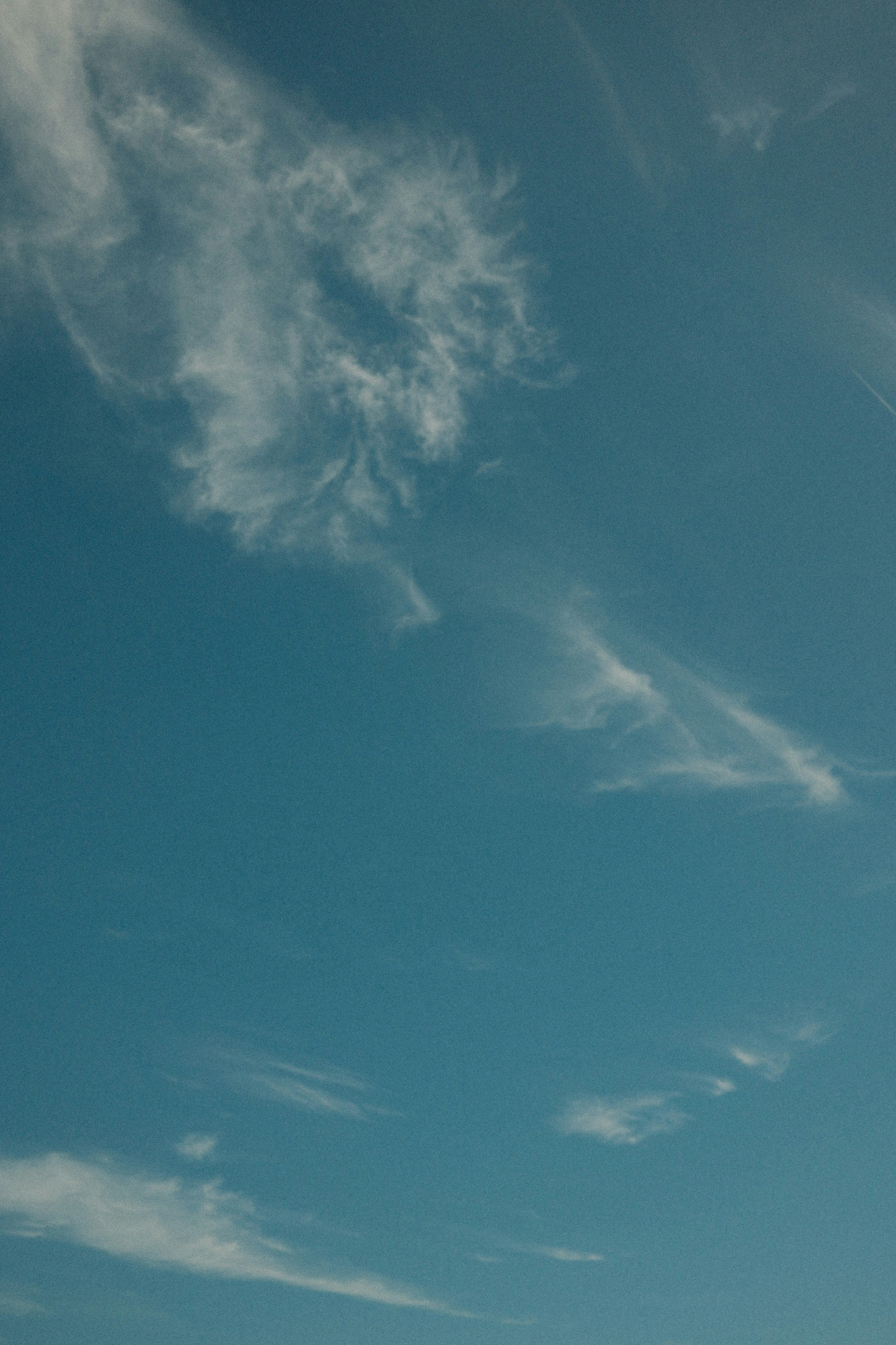 Photo by travisfishl