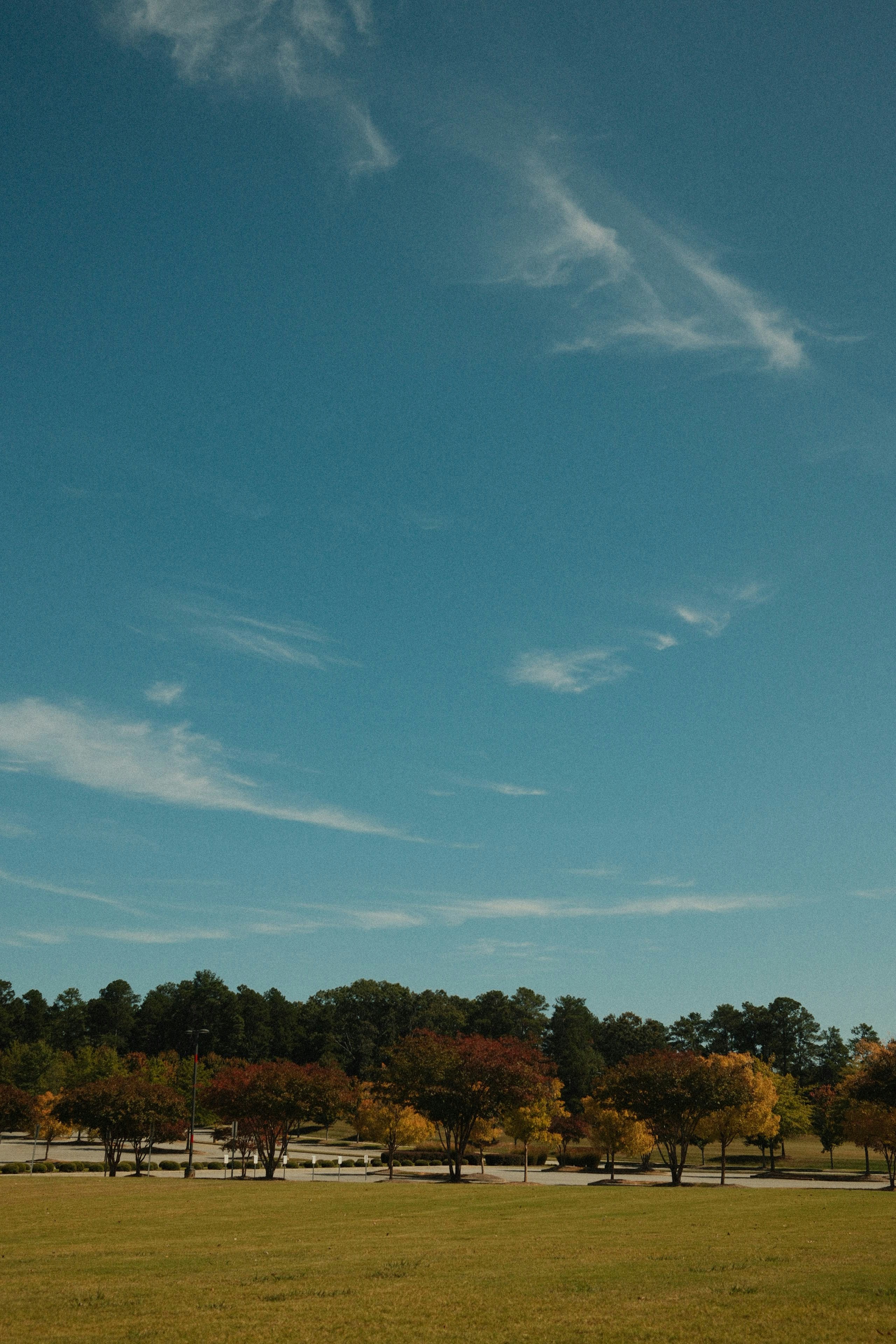 Photo by travisfishl