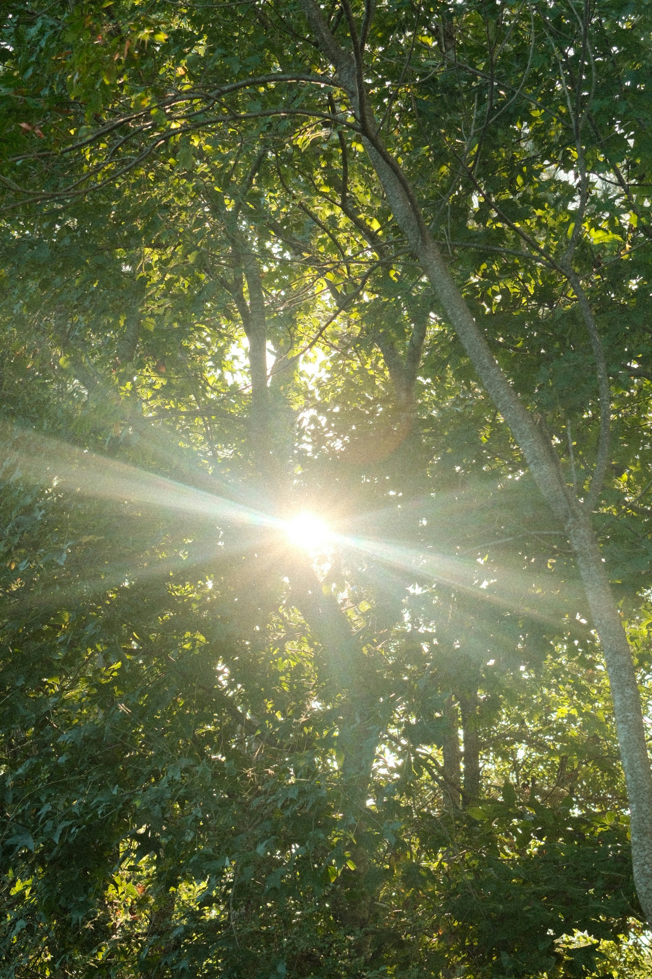 Photo by travisfishl