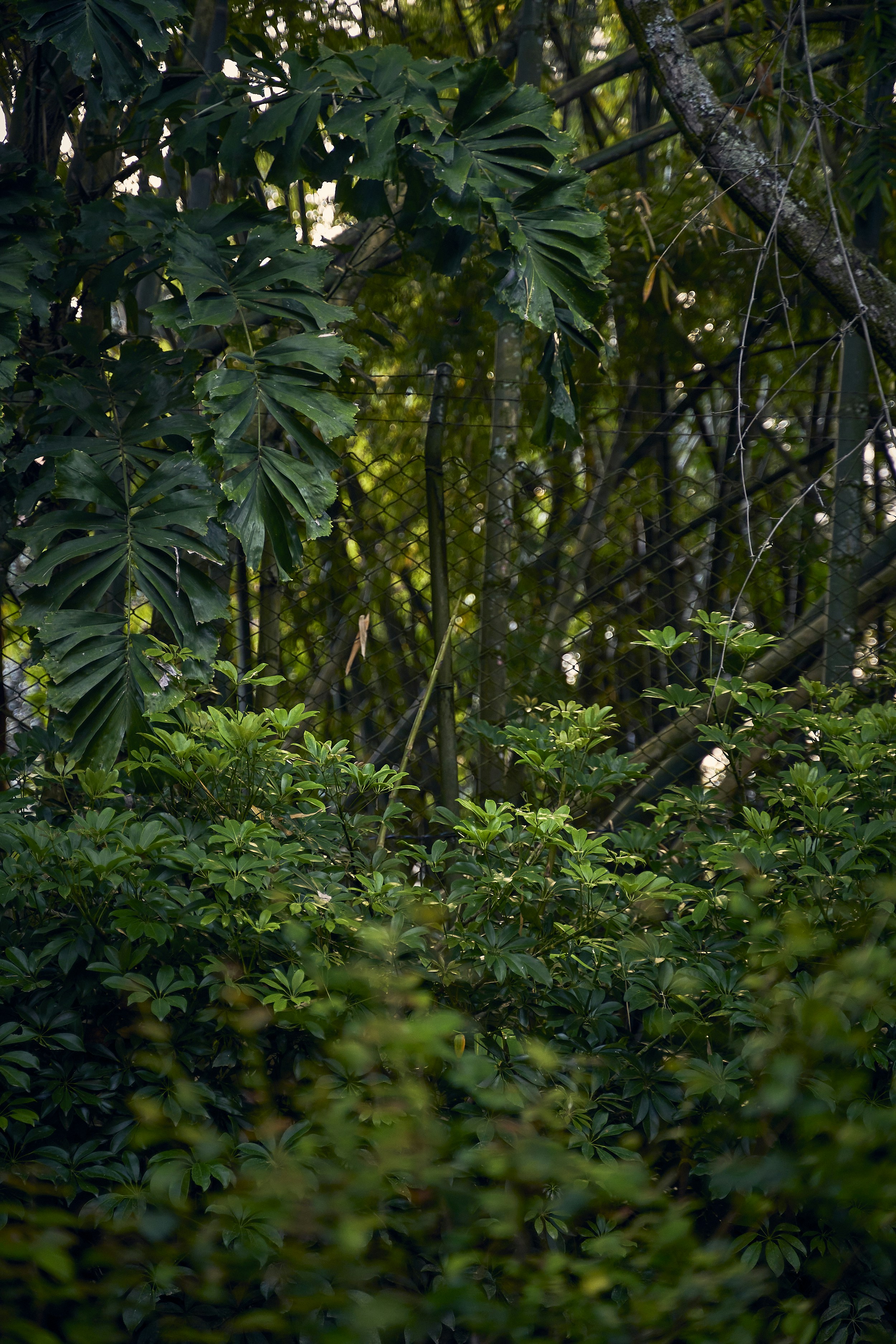 Photo by jorgemoralesv