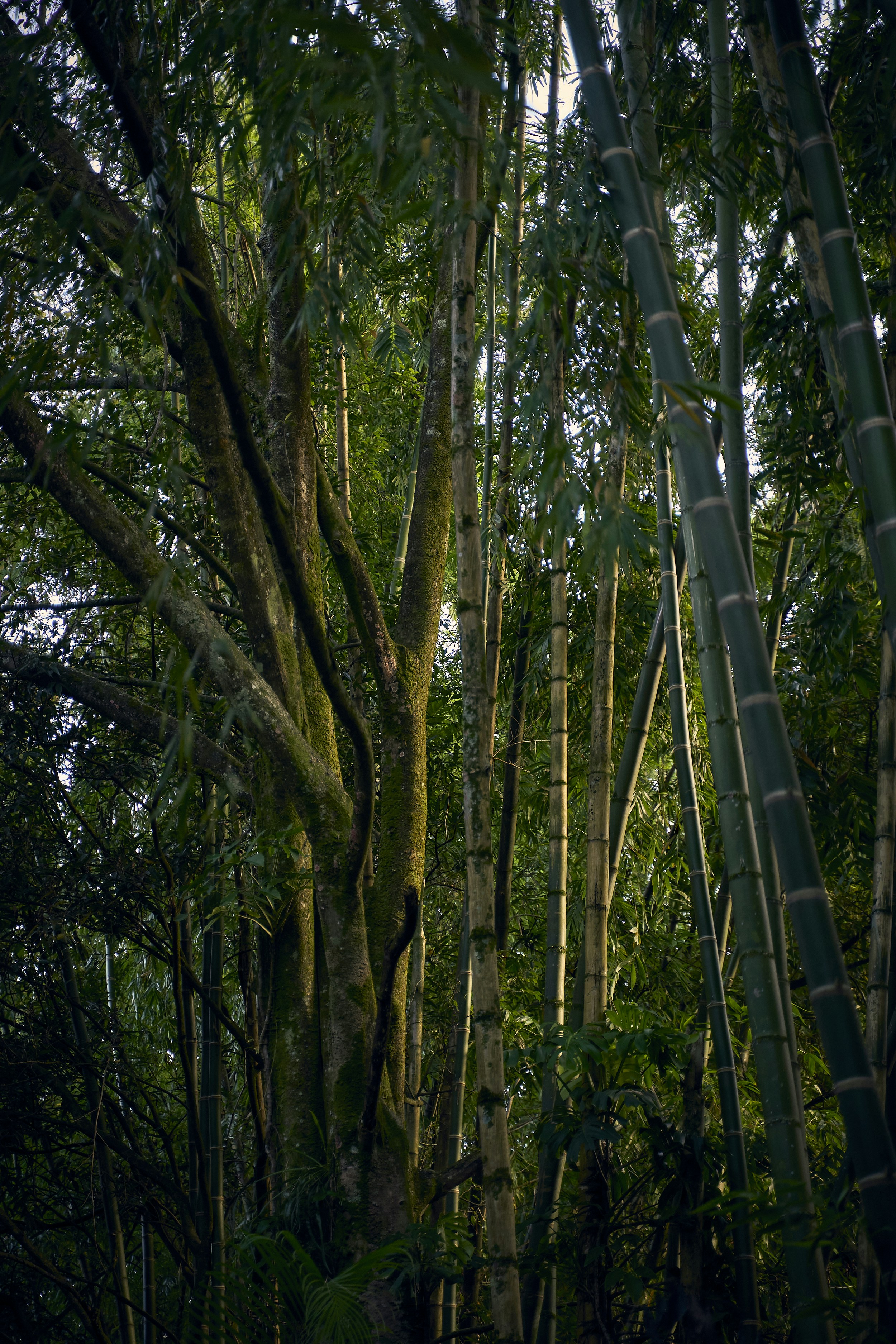 Photo by jorgemoralesv