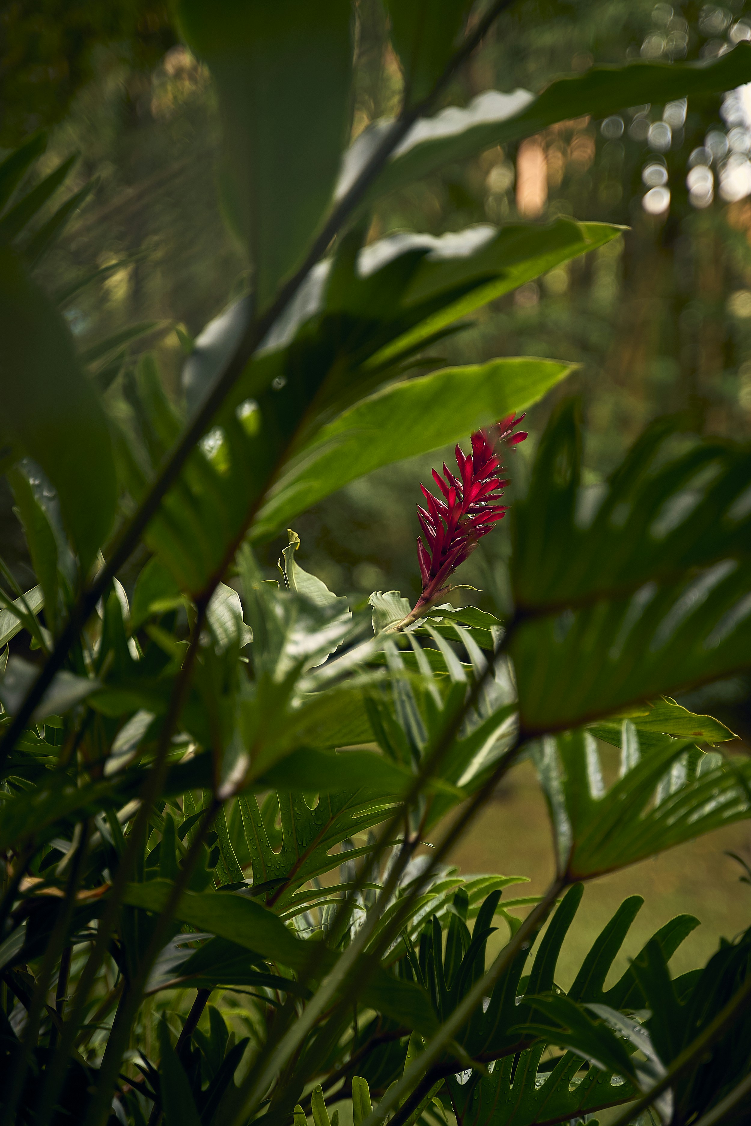 Photo by jorgemoralesv