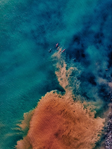 Clear Kayak & Snorkel at Turtle Town