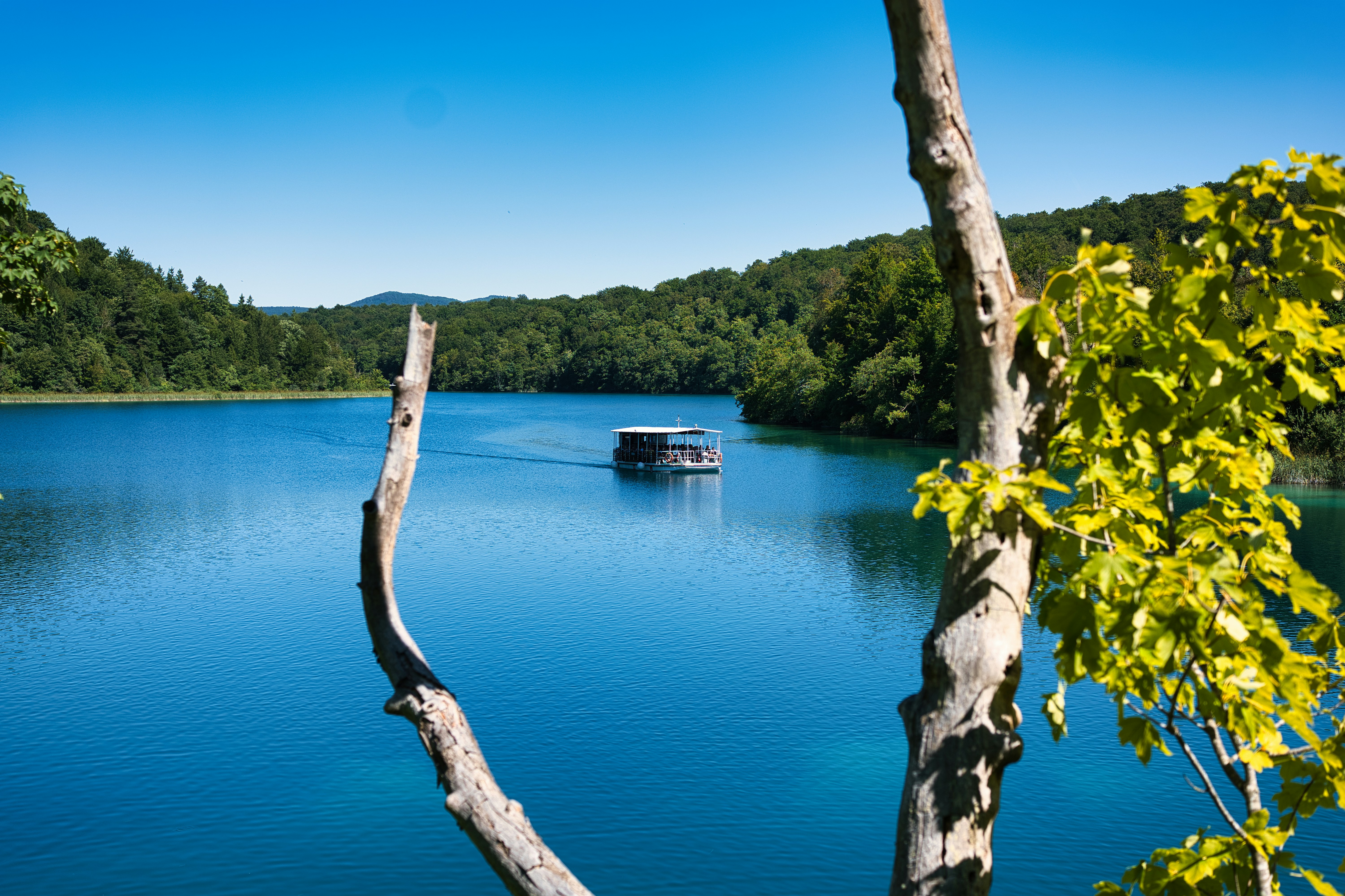 Photo by maksimshutov