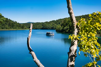 Boat on a bright blue lake surrounded by green trees.