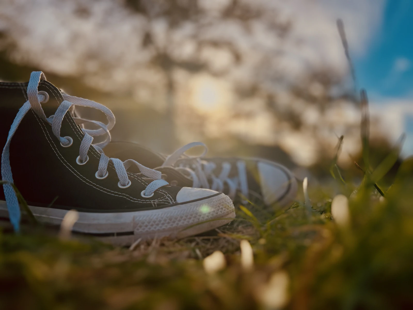 Sneaker culture editorial