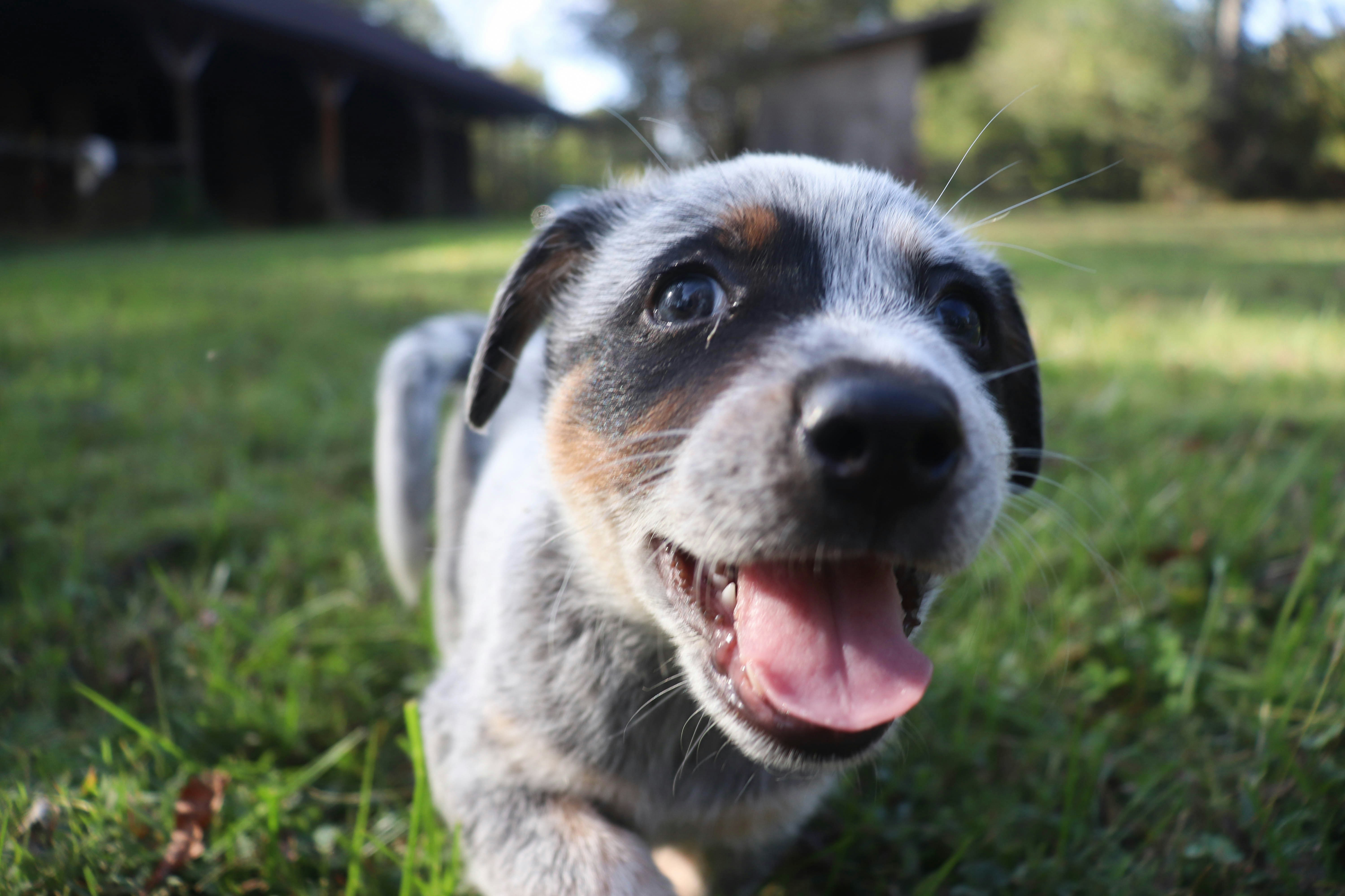 Photo by lroberts067