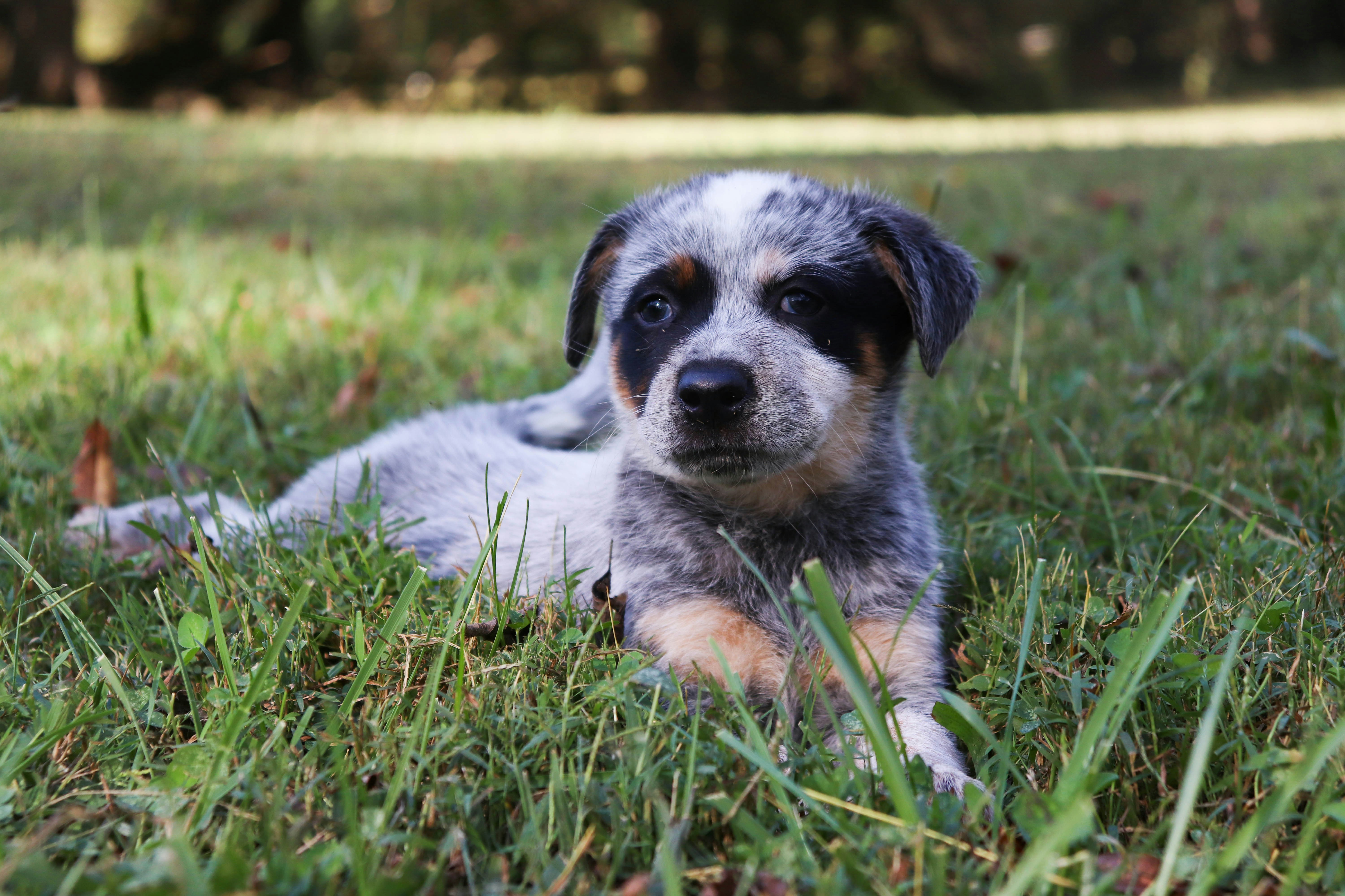 Photo by lroberts067