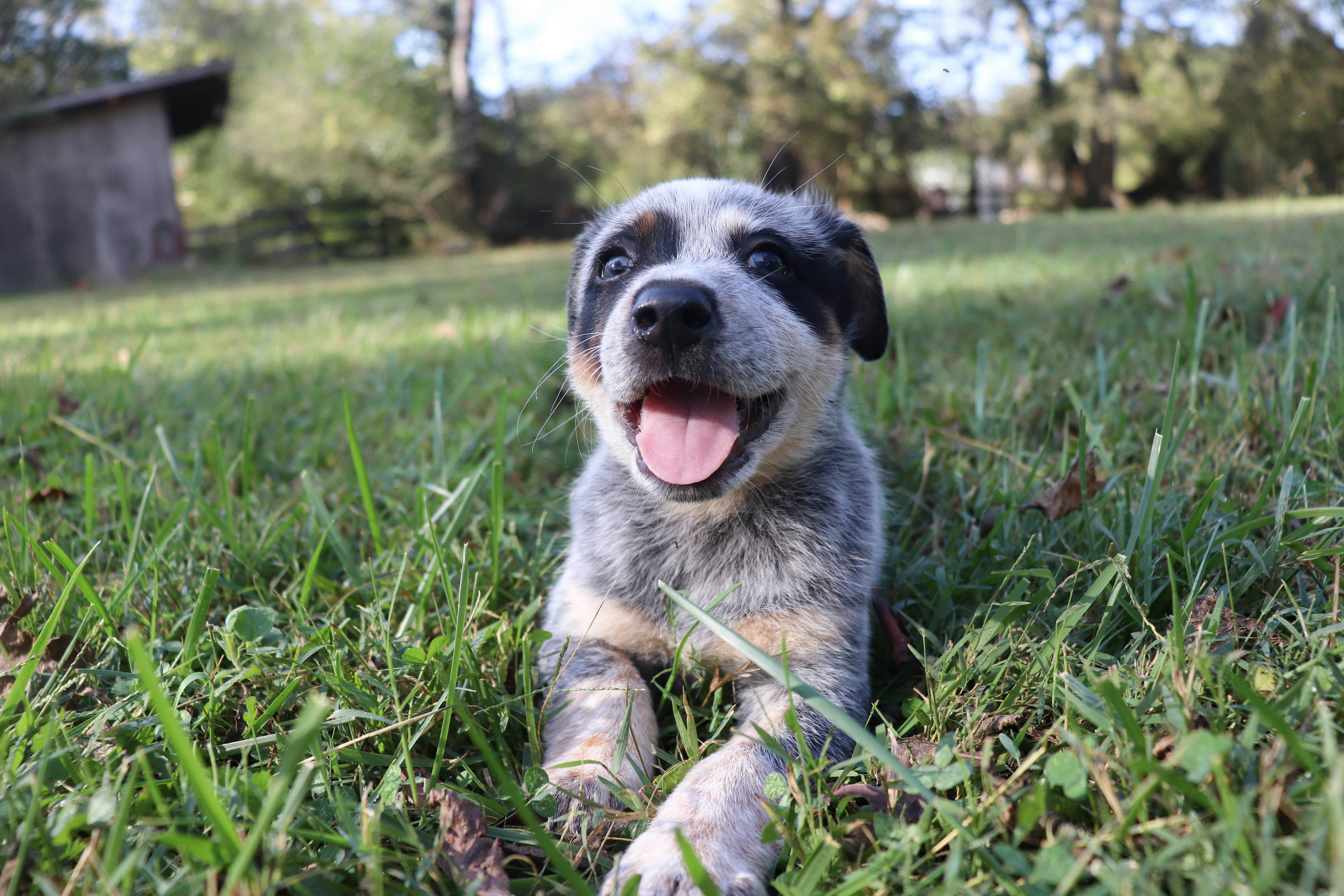 Photo by lroberts067