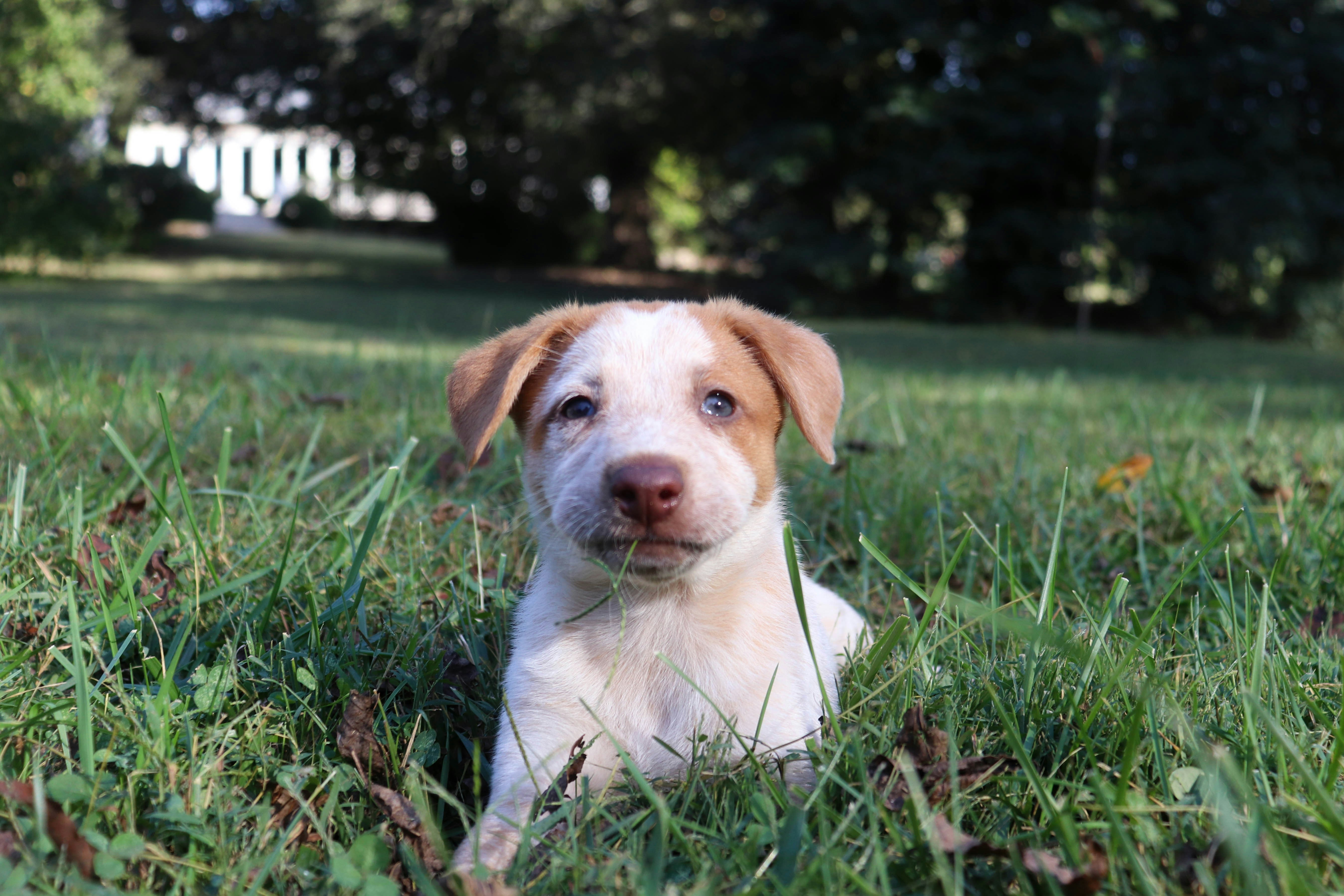 Photo by lroberts067