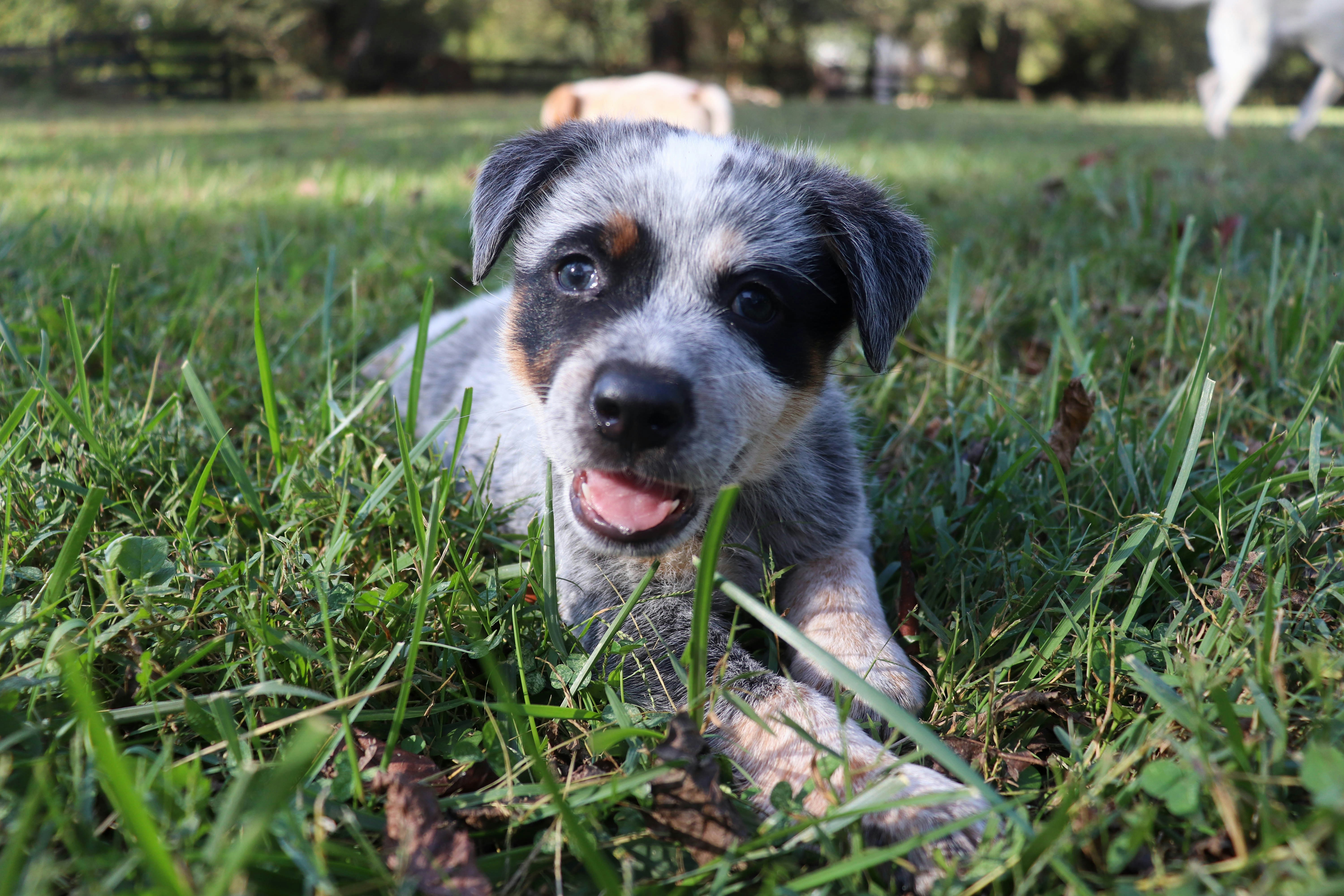 Photo by lroberts067