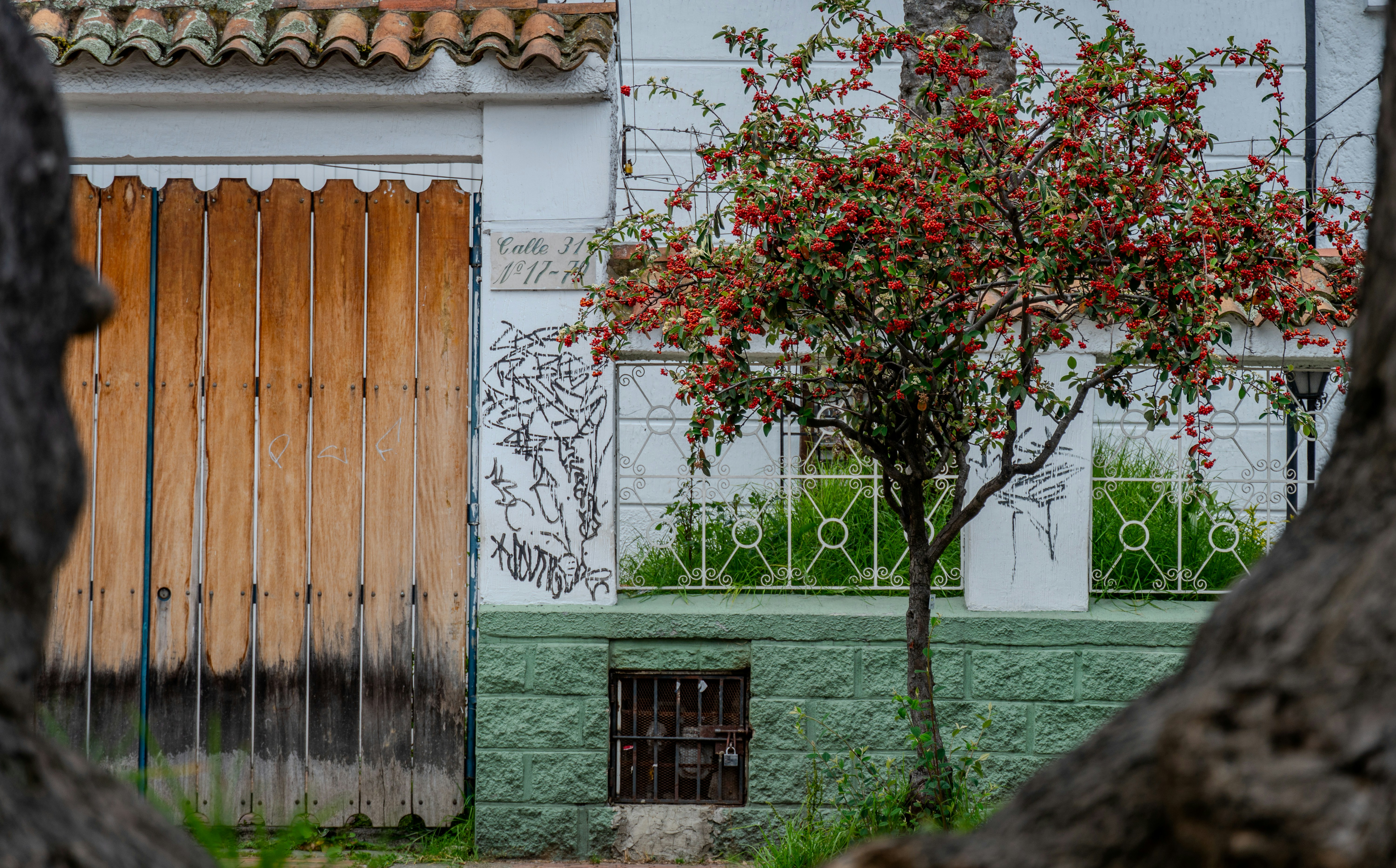 Bogotá para amantes del arte: museos, galerías y murales que laten