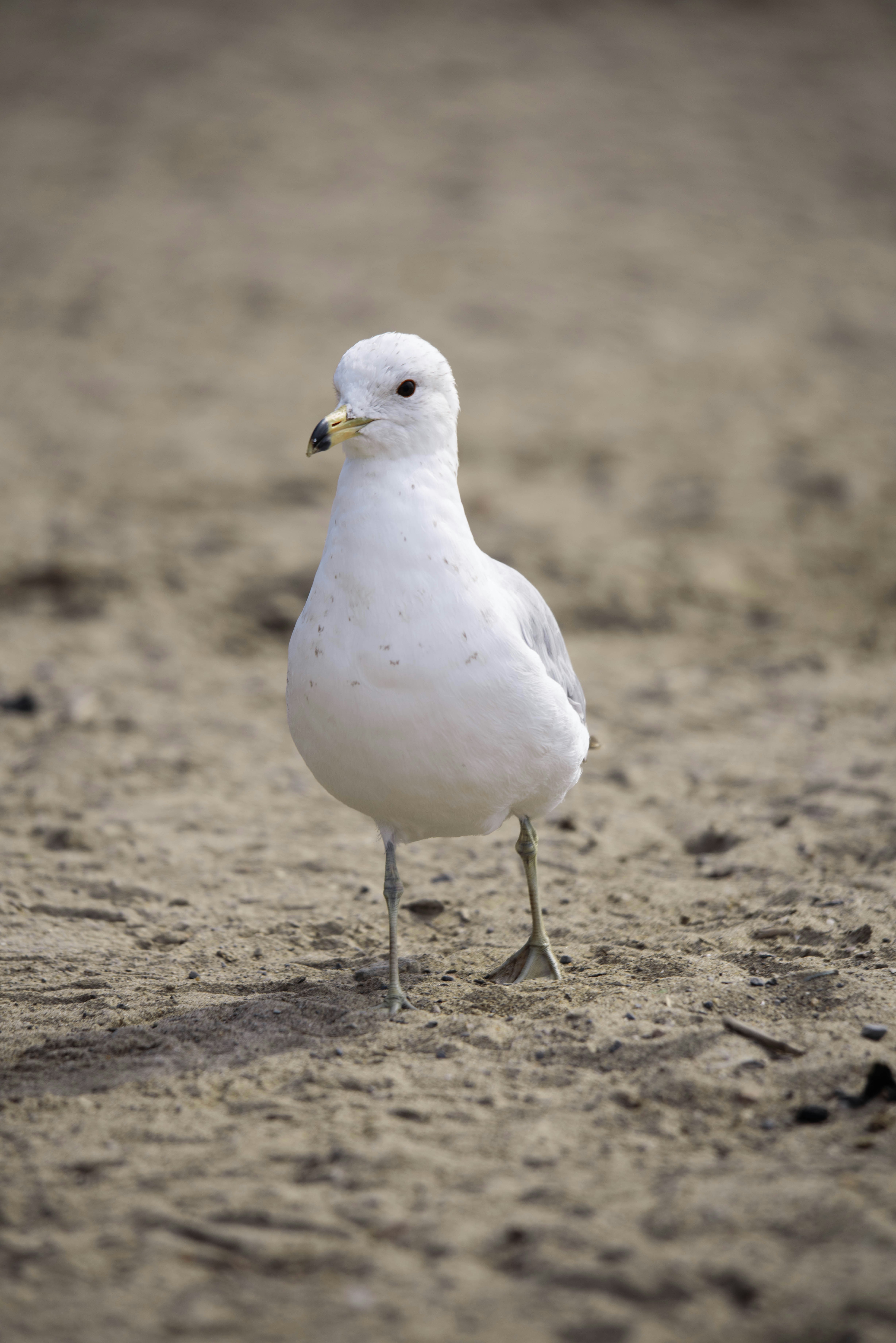 Photo by justynazielinska654