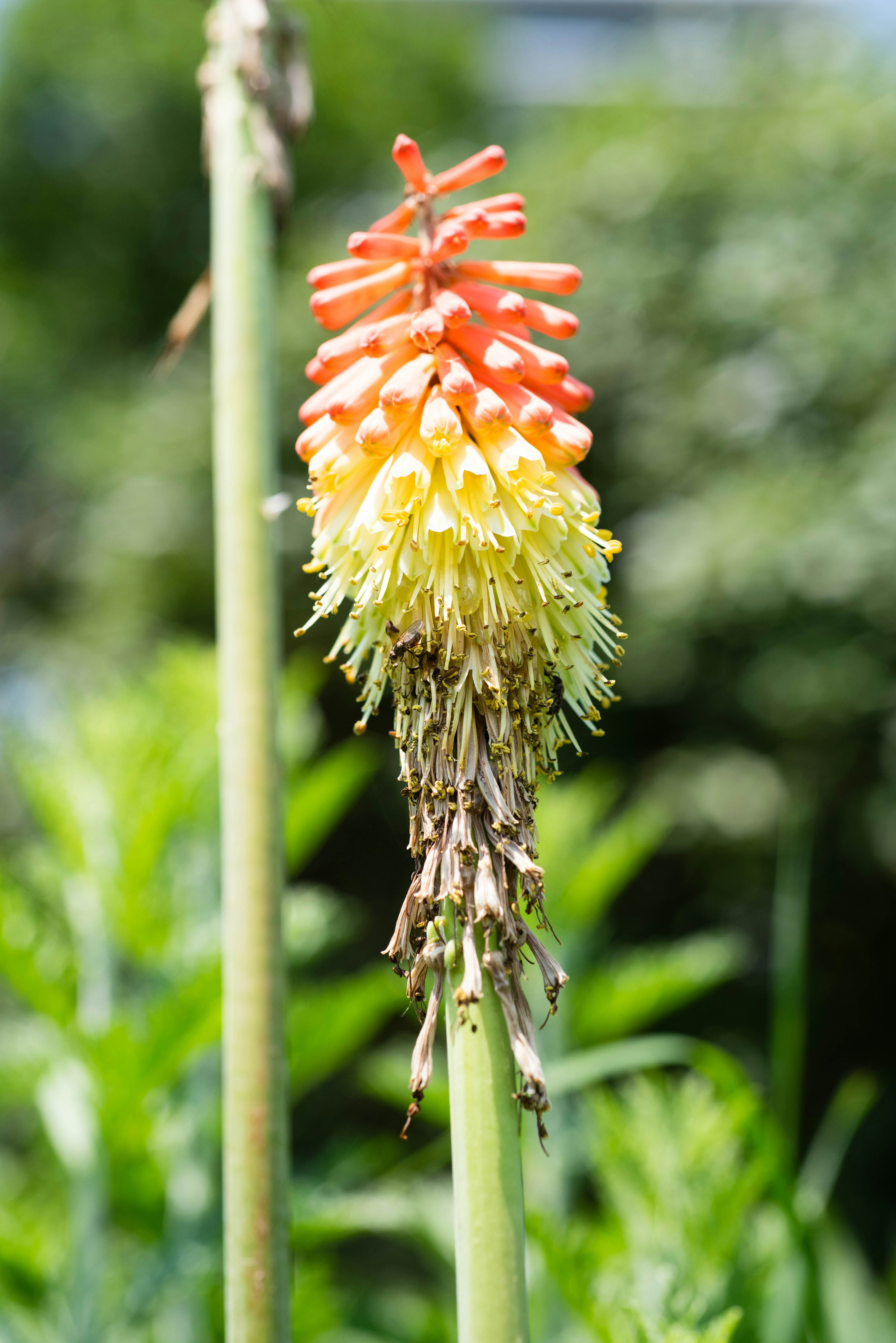 Photo by justynazielinska654