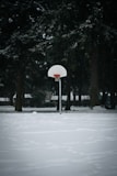 Basketball hoop stands in a snowy park.