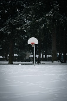 Basketball hoop stands in a snowy park.