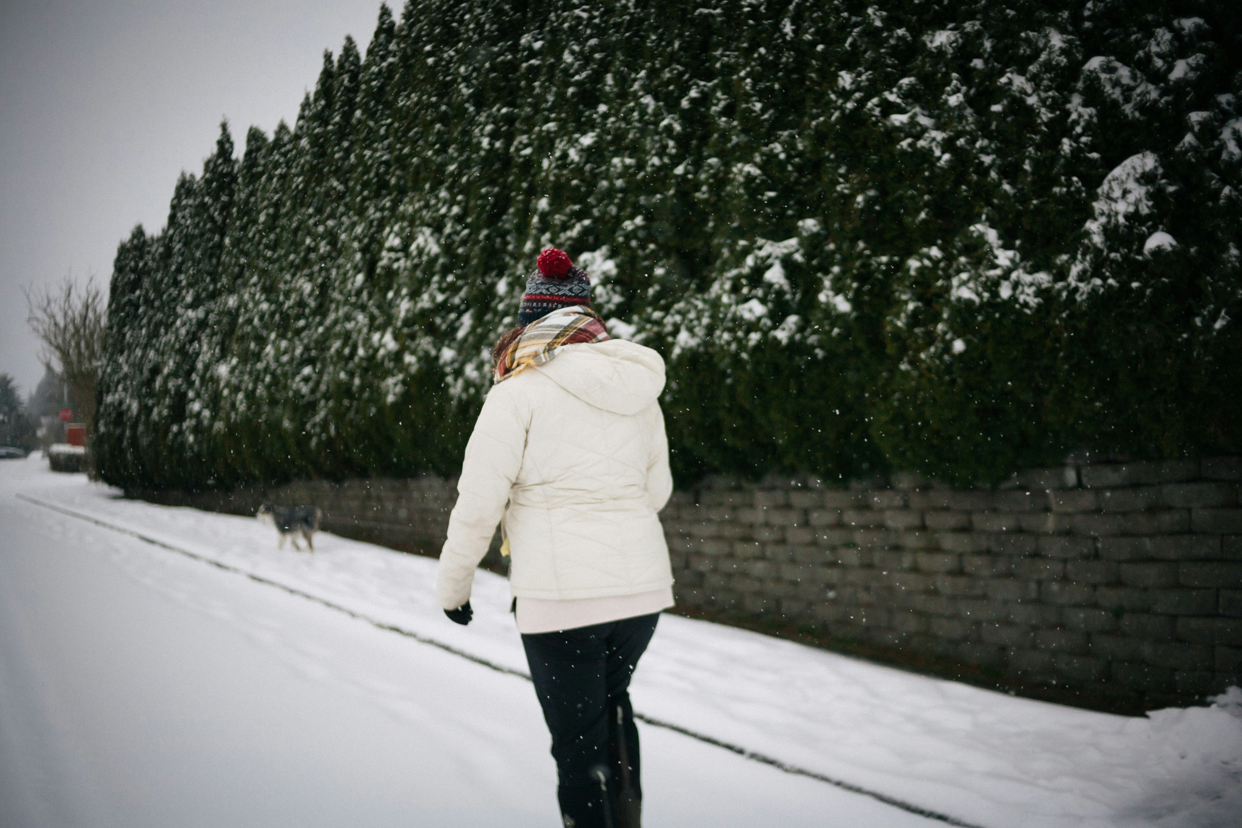 Woman walking on a snowy street with trees.
