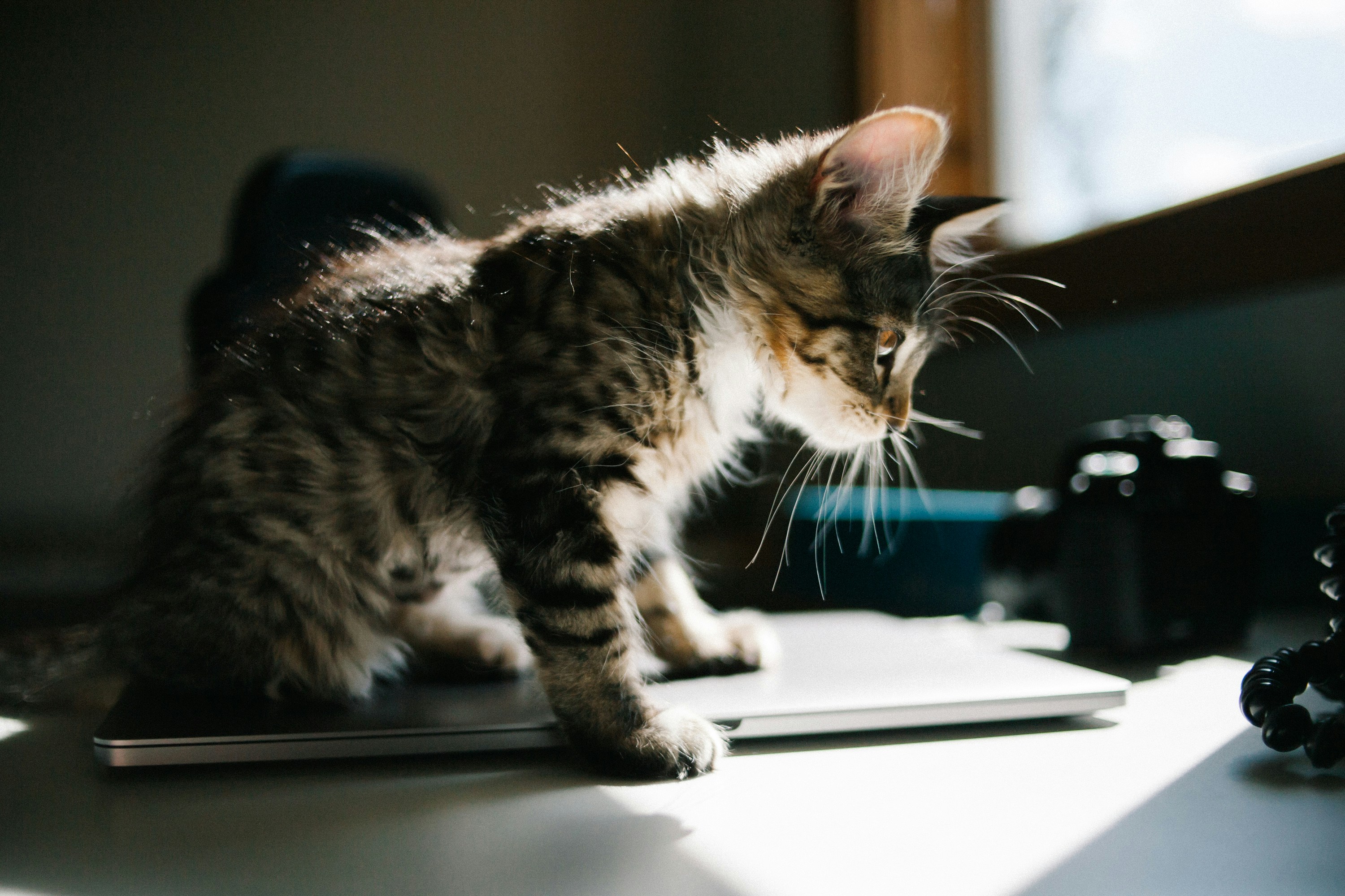 Artisan Leather Handbags You Can Buy Today