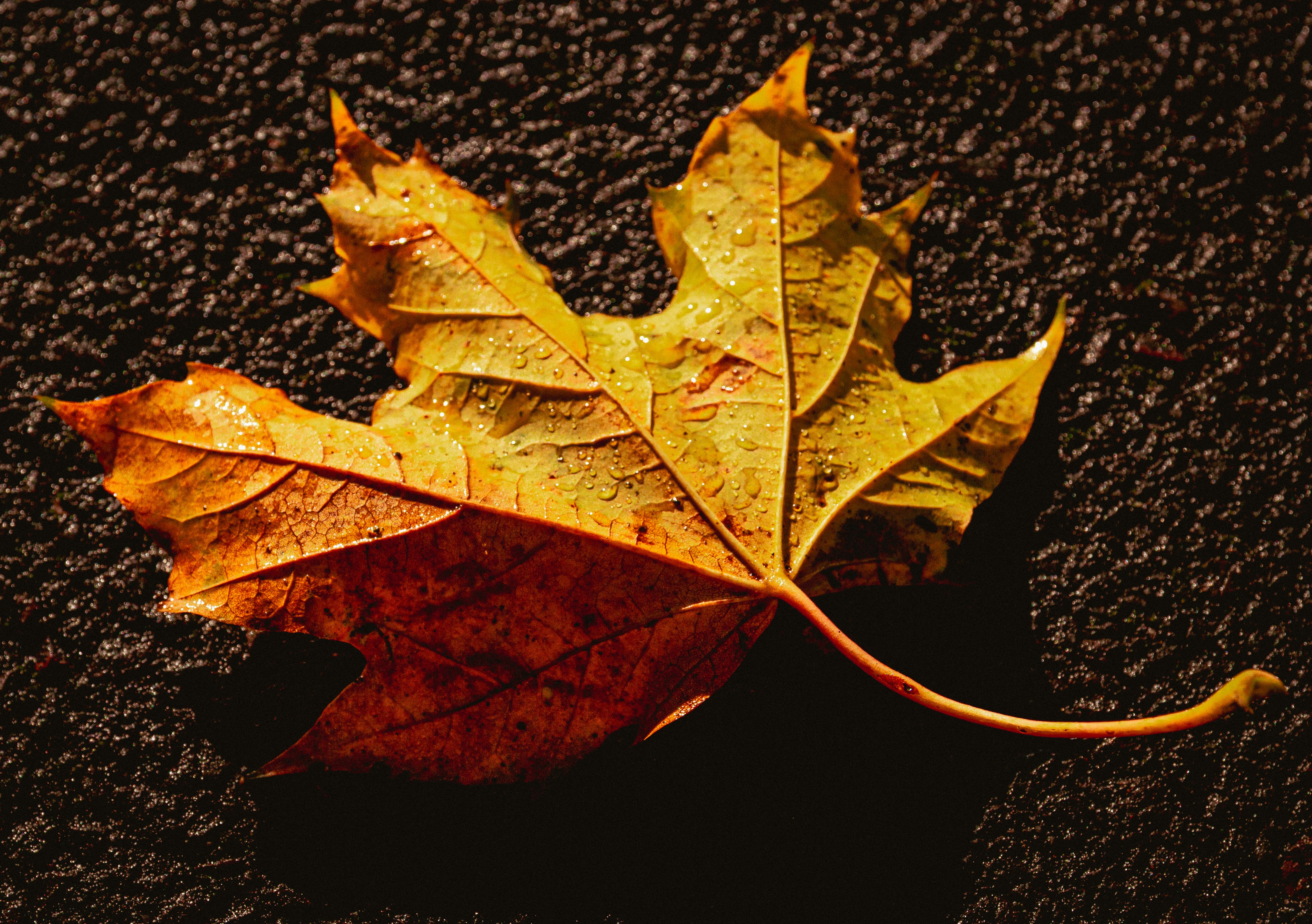 Photo by mlcphotography88