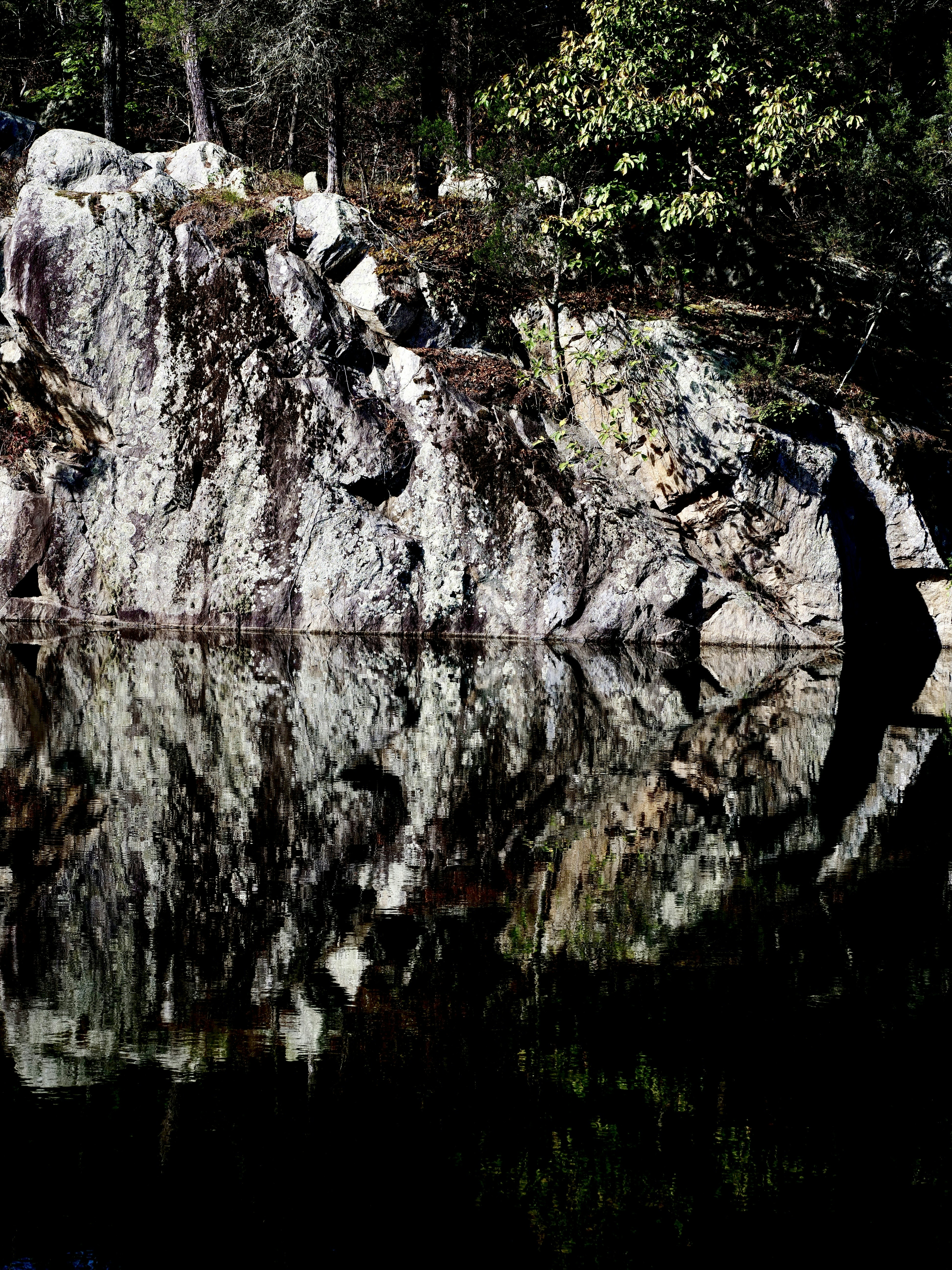 Photo by sschusterphotoart