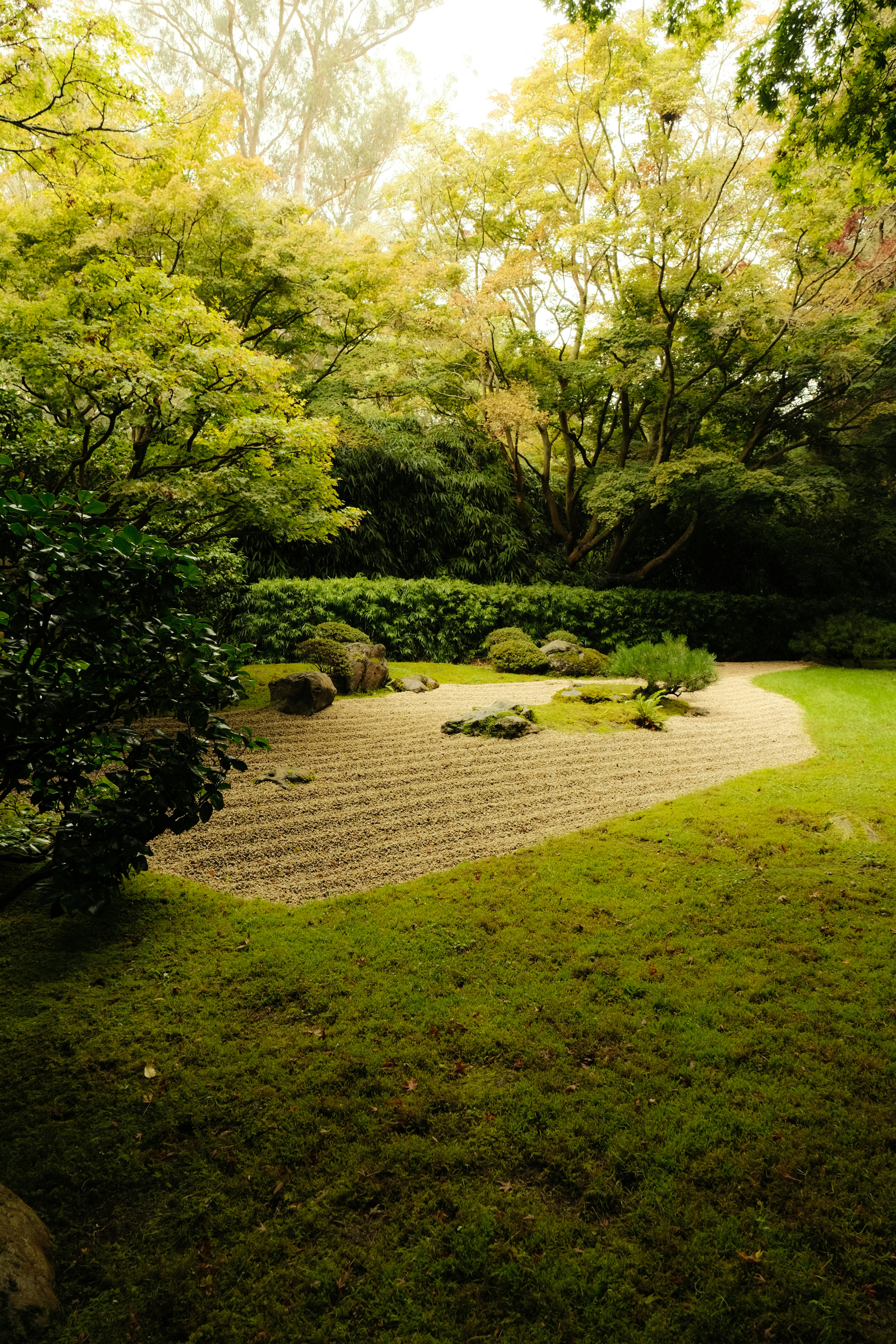 Zen garden with raked sand and rocks surrounded by trees.