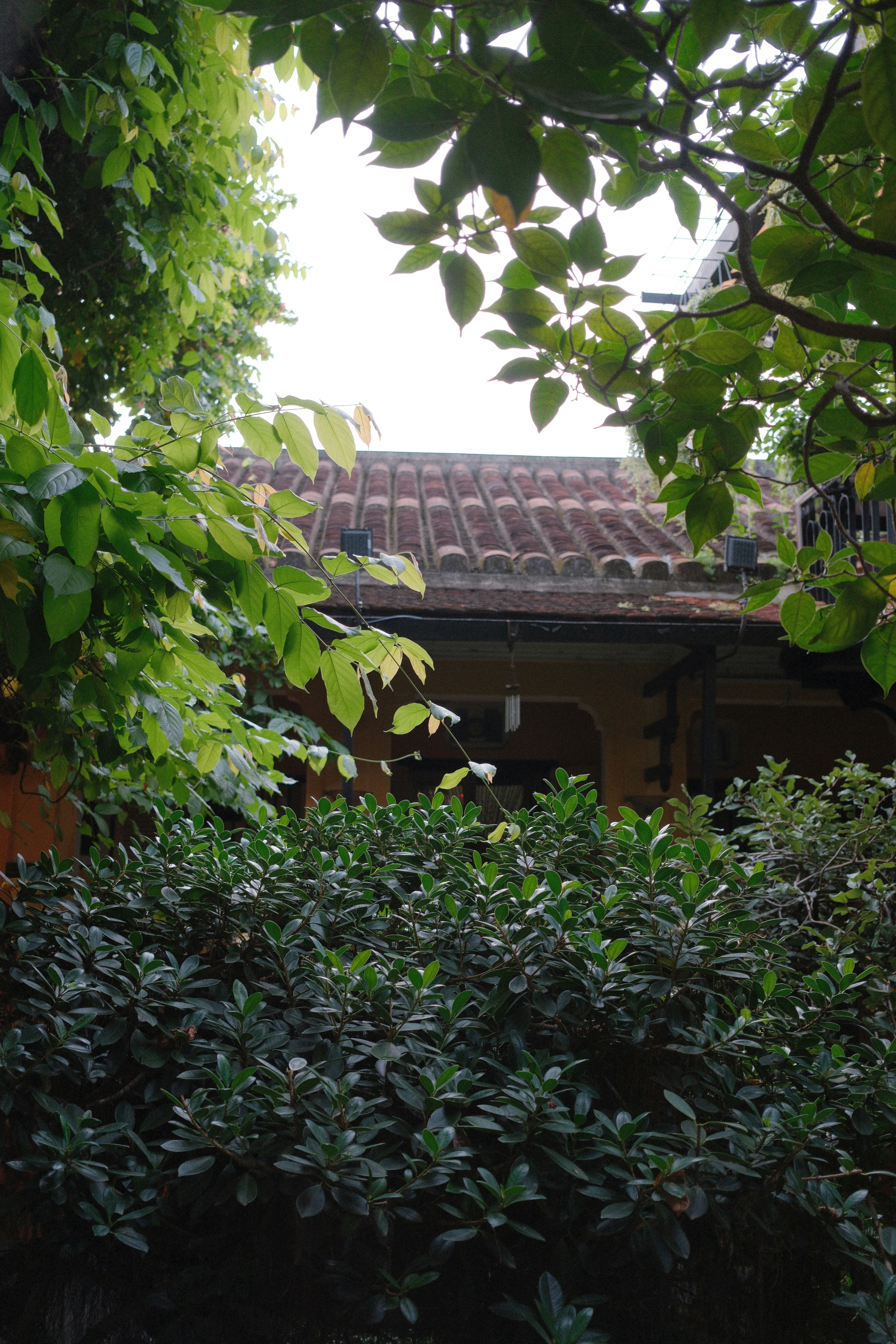 Photo by hoianphotographer