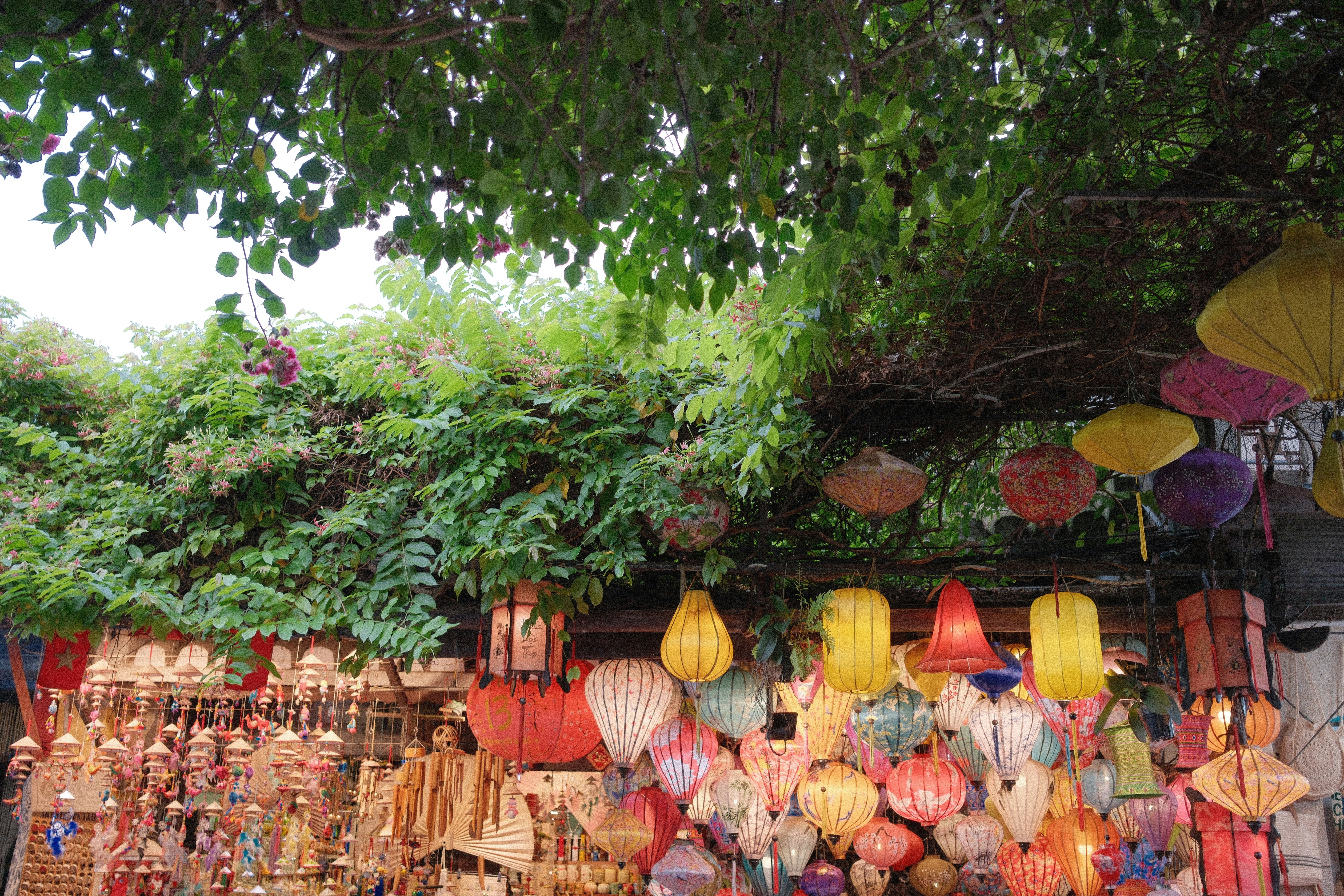 Photo by hoianphotographer