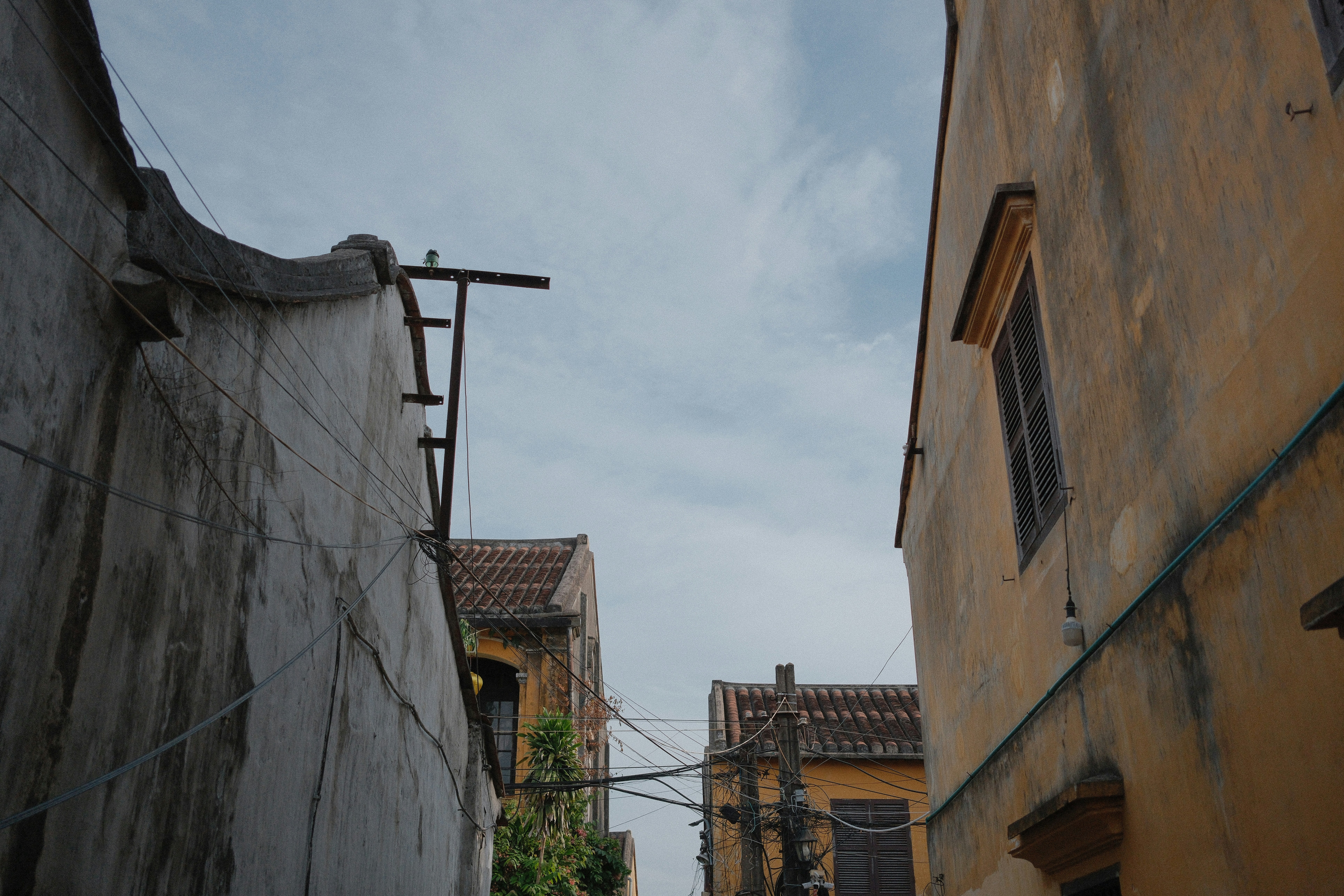 Photo by hoianphotographer