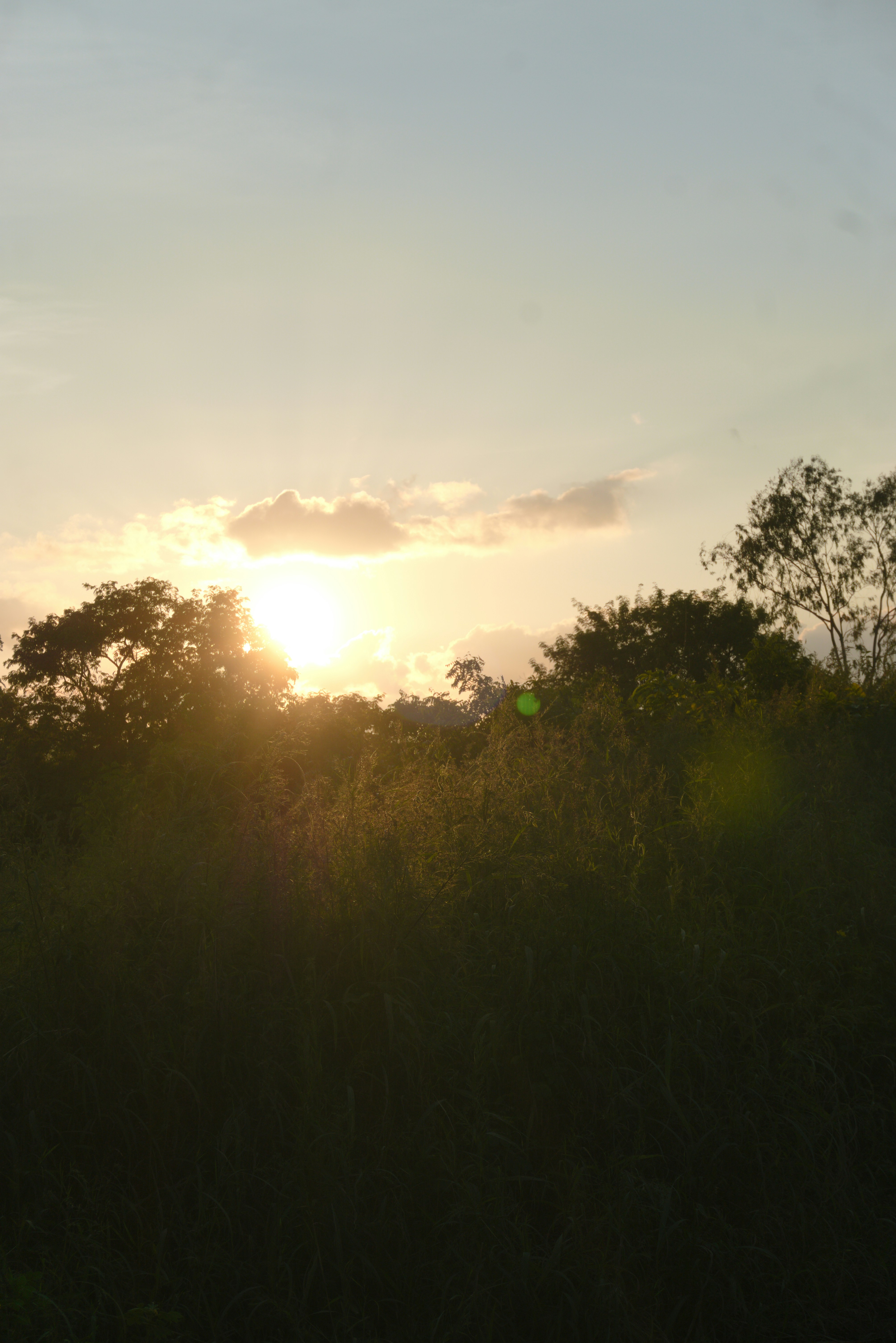 Photo by ghostlostinstatic