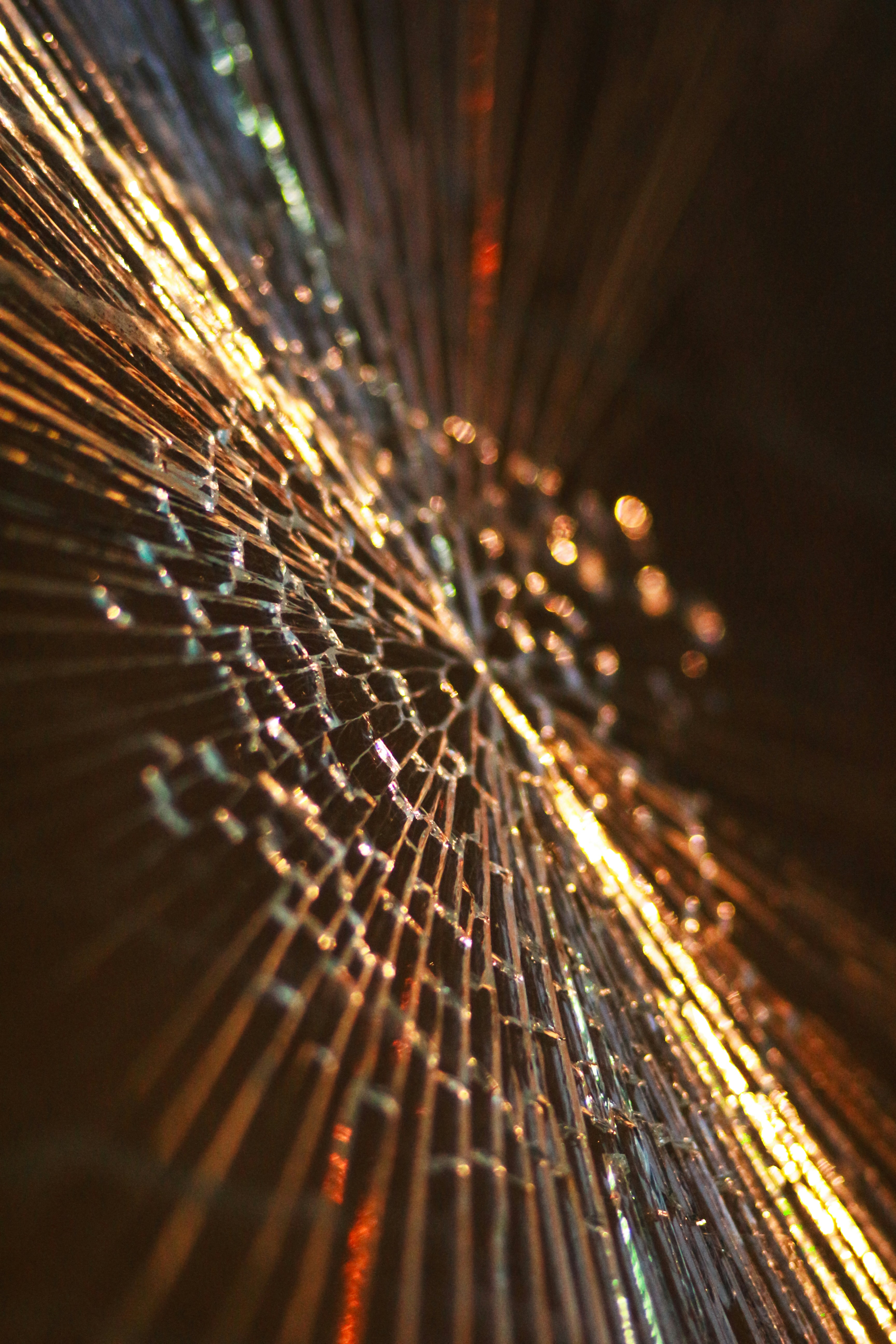 Photo by grievek1610begur